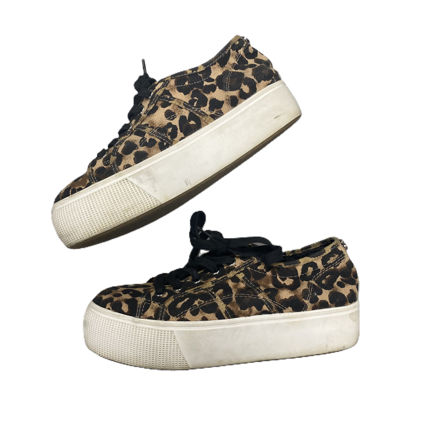 Shoes Sneakers Platform By Steve Madden In Leopard Print, Size: 7.5