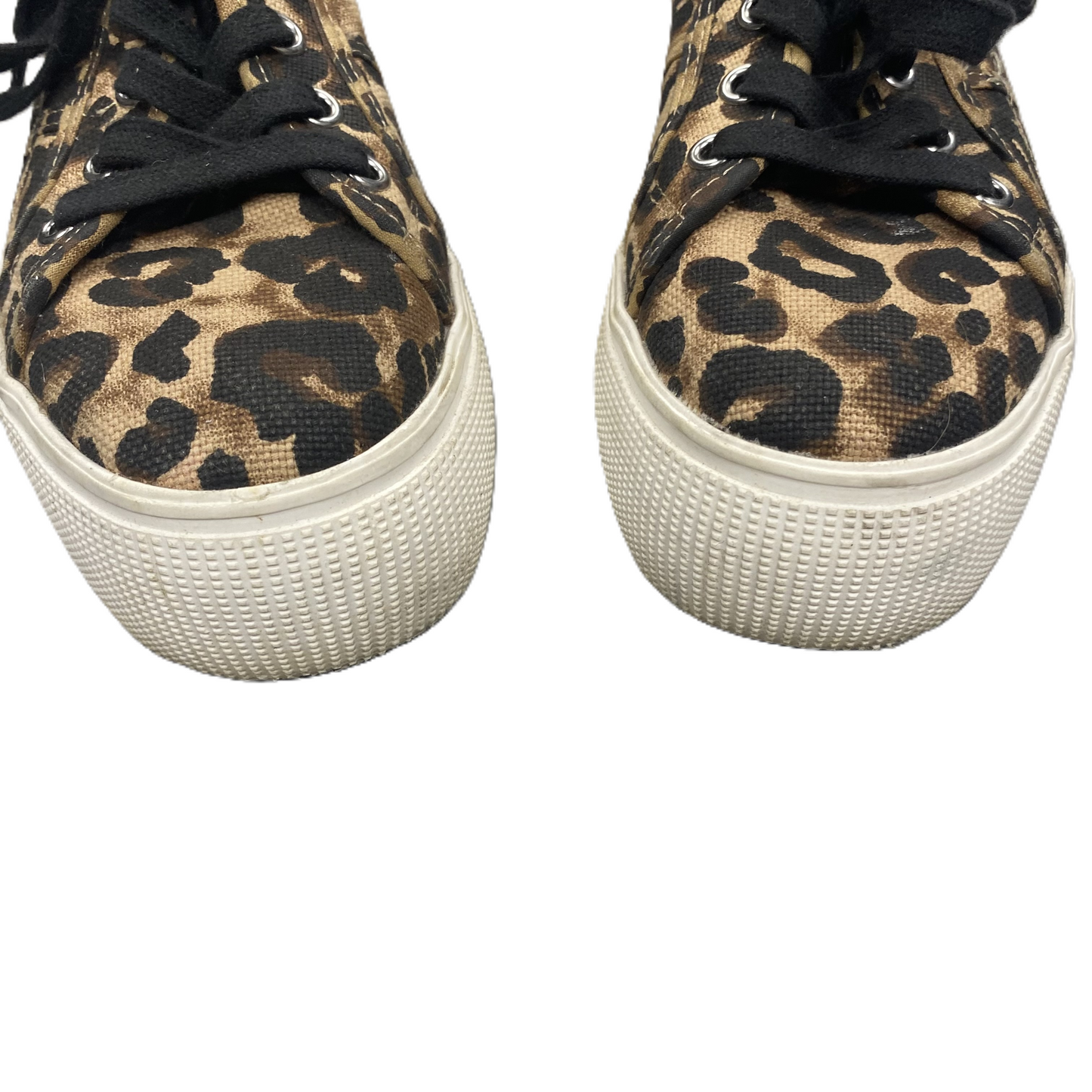 Shoes Sneakers Platform By Steve Madden In Leopard Print, Size: 7.5