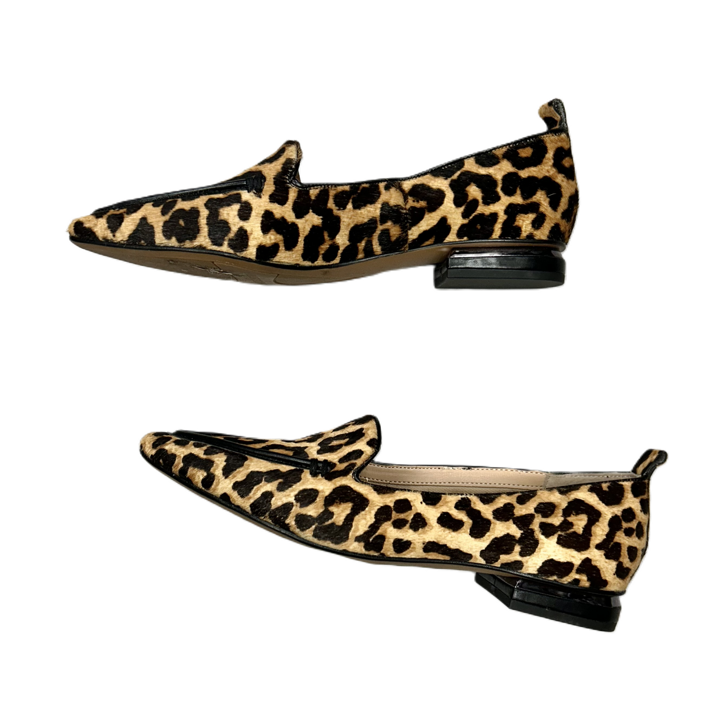 Shoes Flats By Franco Sarto In Leopard Print, Size: 8.5