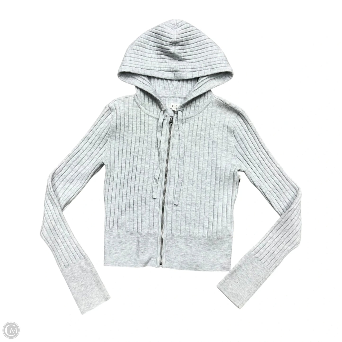 Sweatshirt Hoodie By Aerie In Grey, Size: M