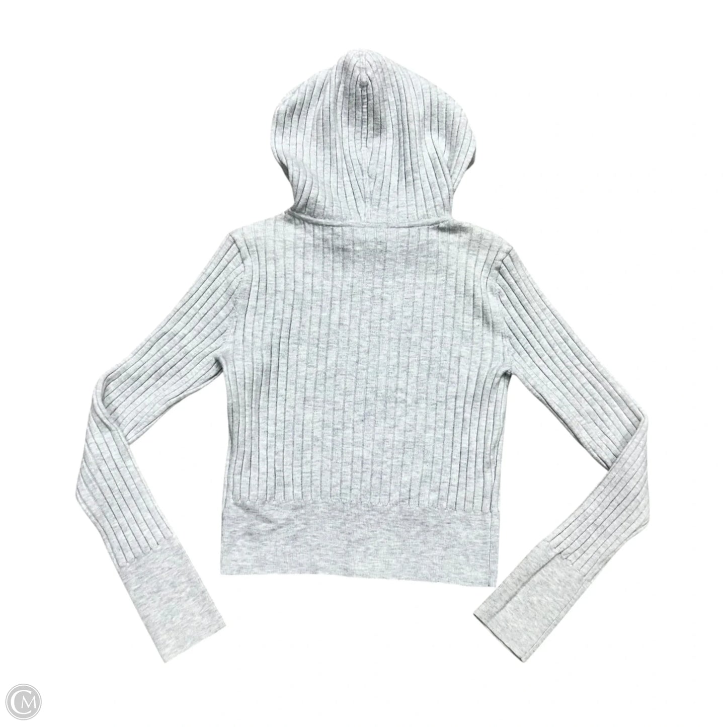 Sweatshirt Hoodie By Aerie In Grey, Size: M
