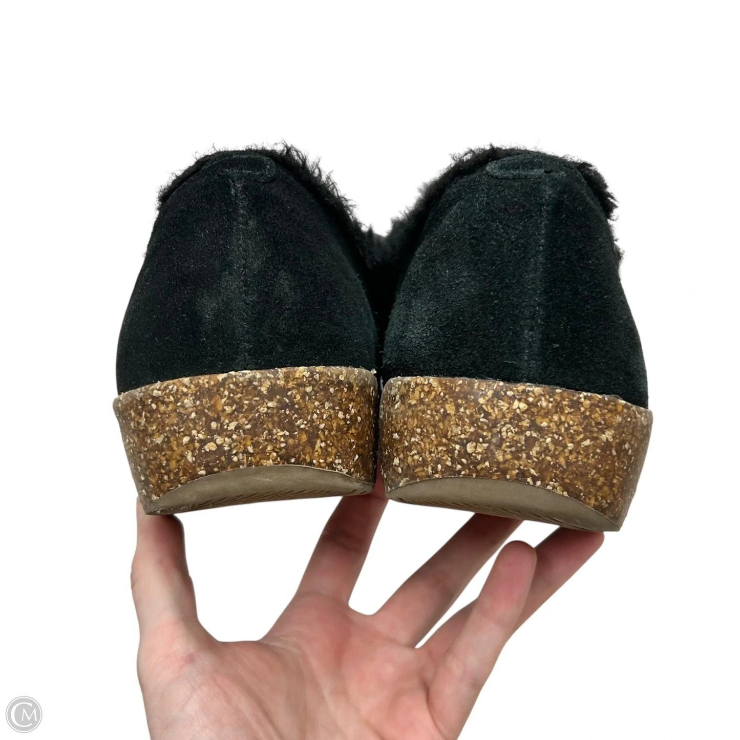 Shoes Flats By Earth Origins In Black, Size: 9.5