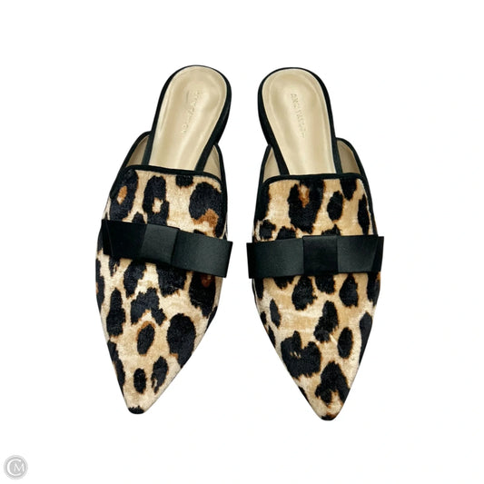 Shoes Flats By Ann Taylor In Leopard Print, Size: 7.5