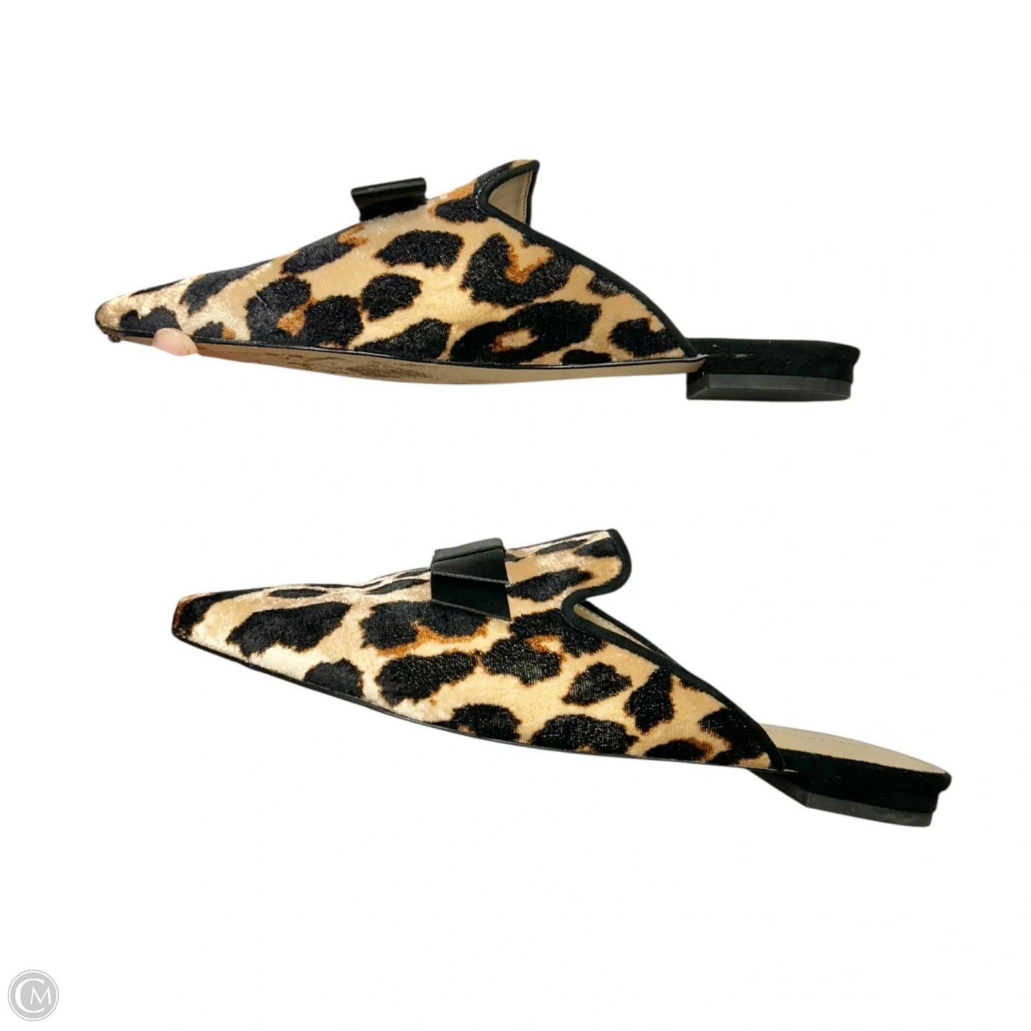 Shoes Flats By Ann Taylor In Leopard Print, Size: 7.5
