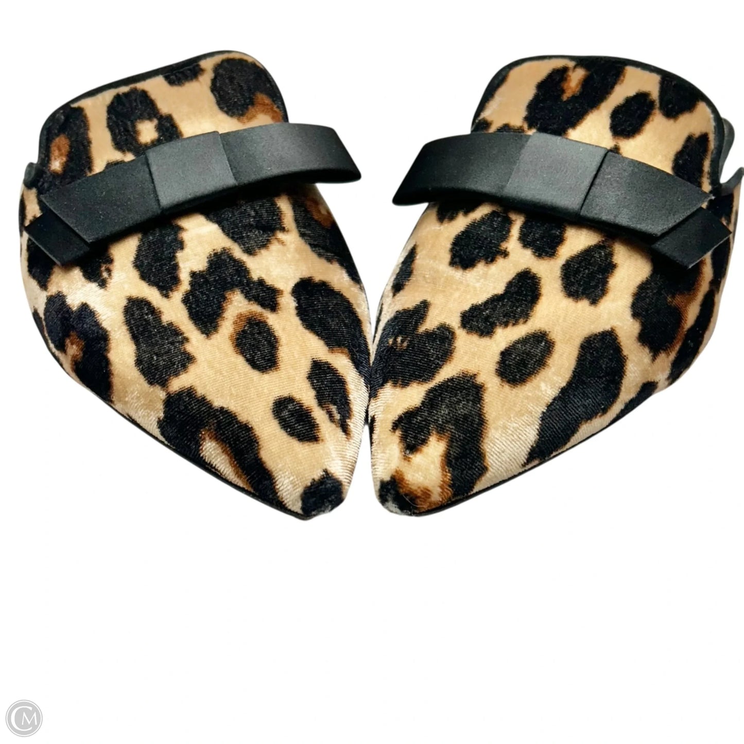 Shoes Flats By Ann Taylor In Leopard Print, Size: 7.5