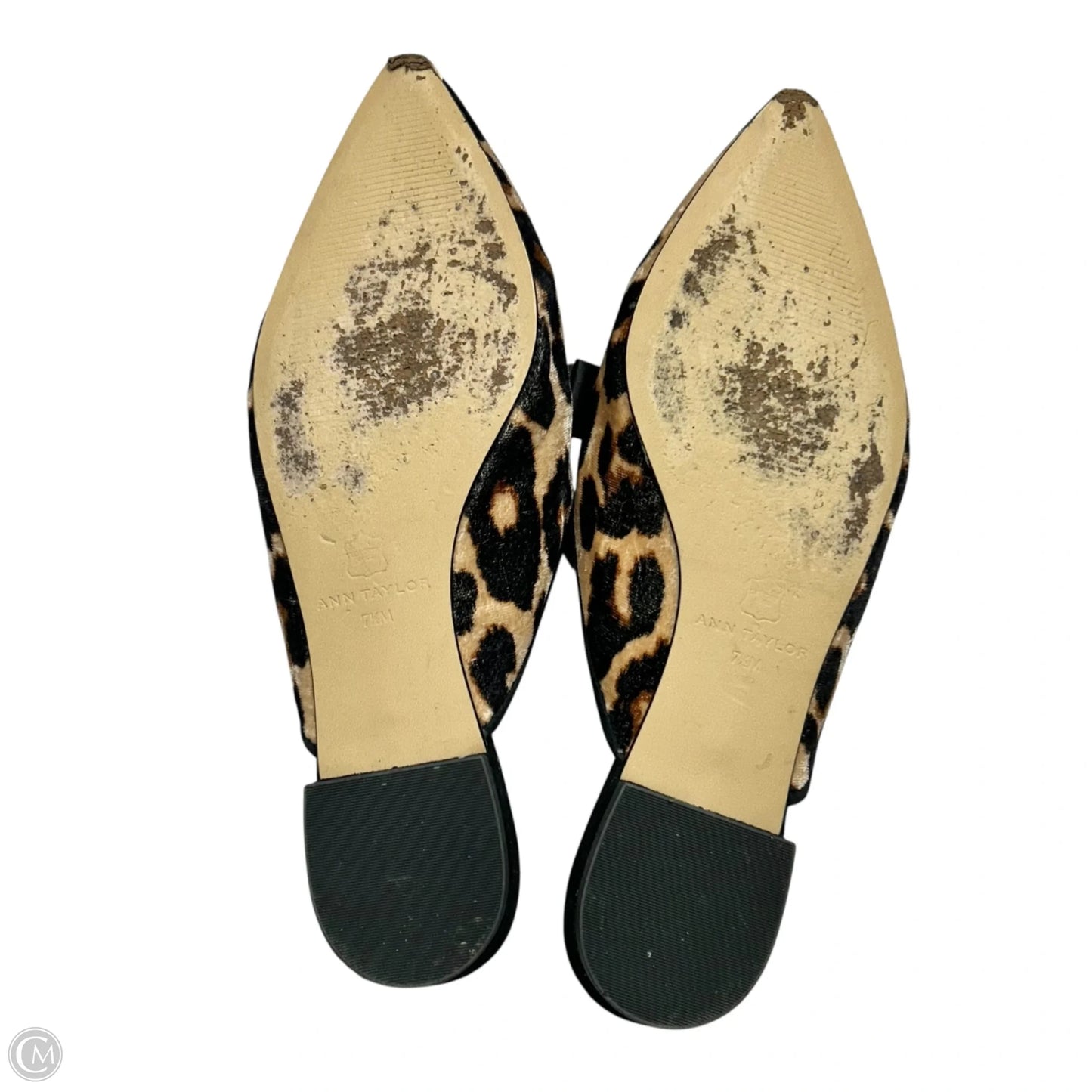Shoes Flats By Ann Taylor In Leopard Print, Size: 7.5