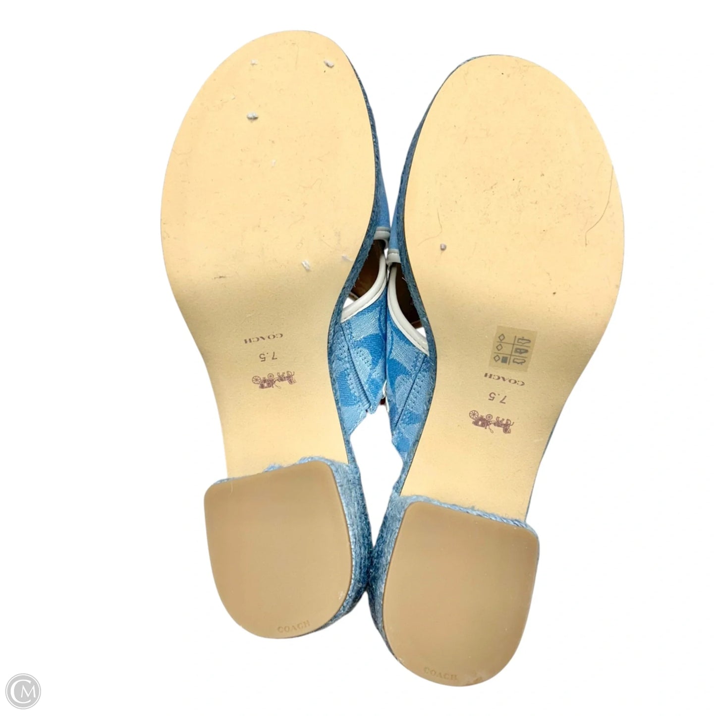 Sandals Designer By Coach In Blue, Size: 7.5