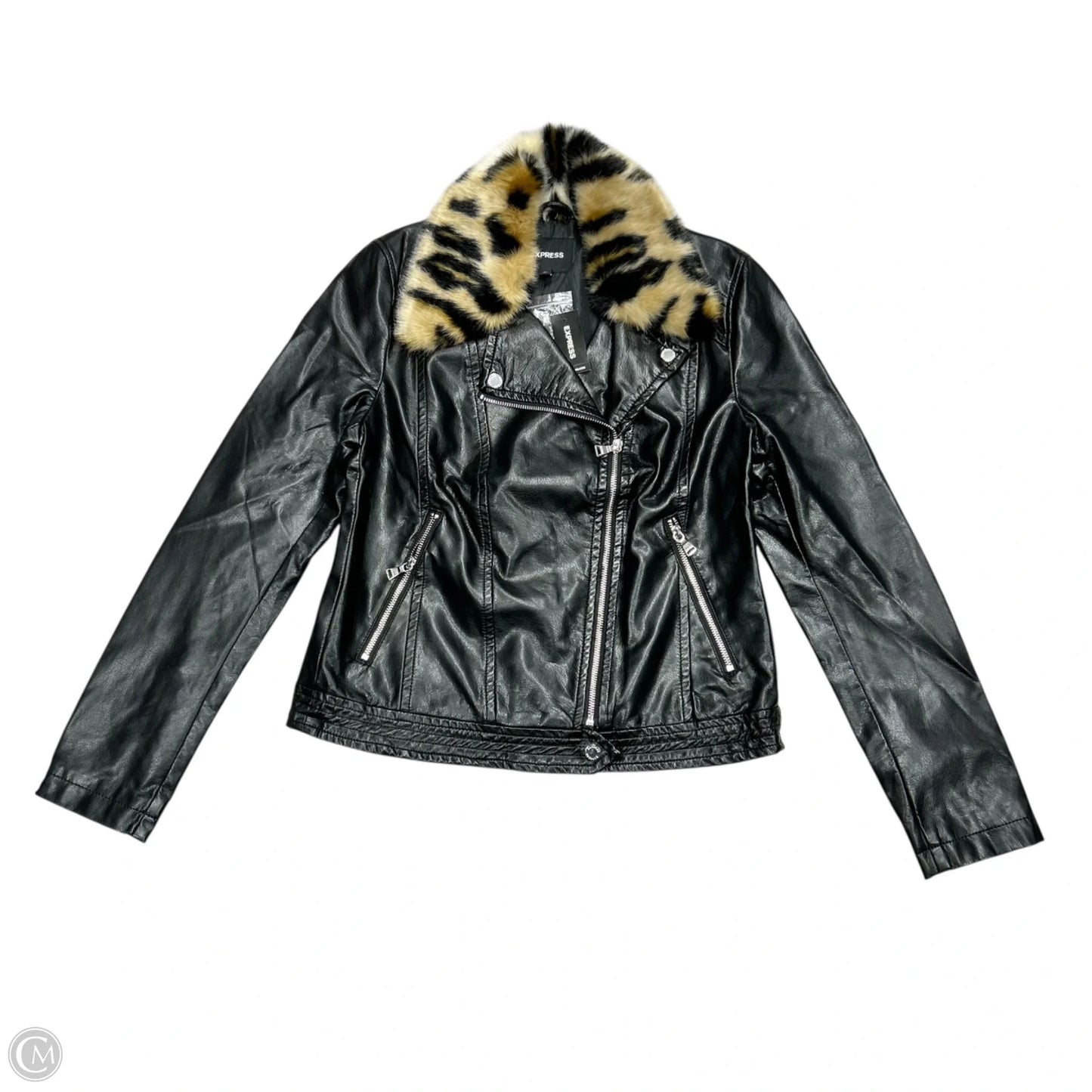 Jacket Moto By Express In Black, Size: M
