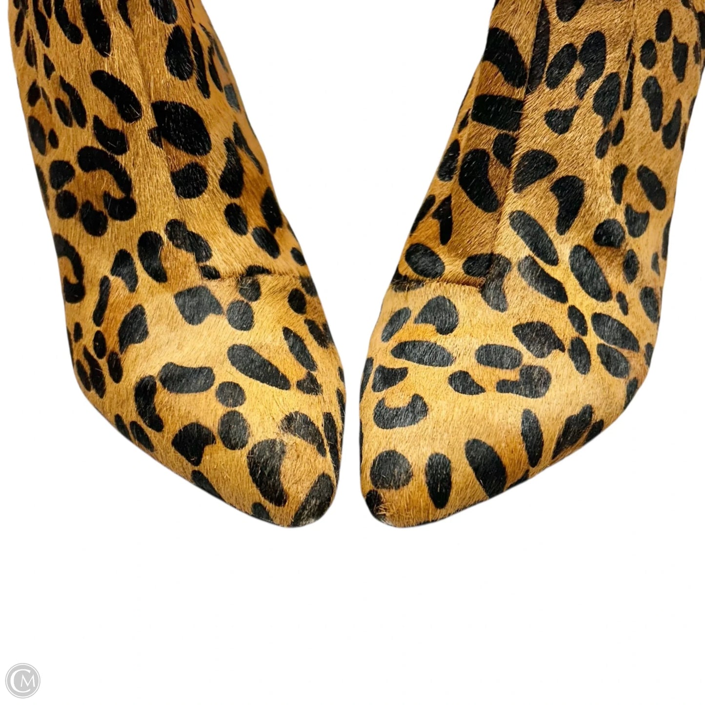 Boots Ankle Heels By Topshop In Leopard Print, Size: 6.5