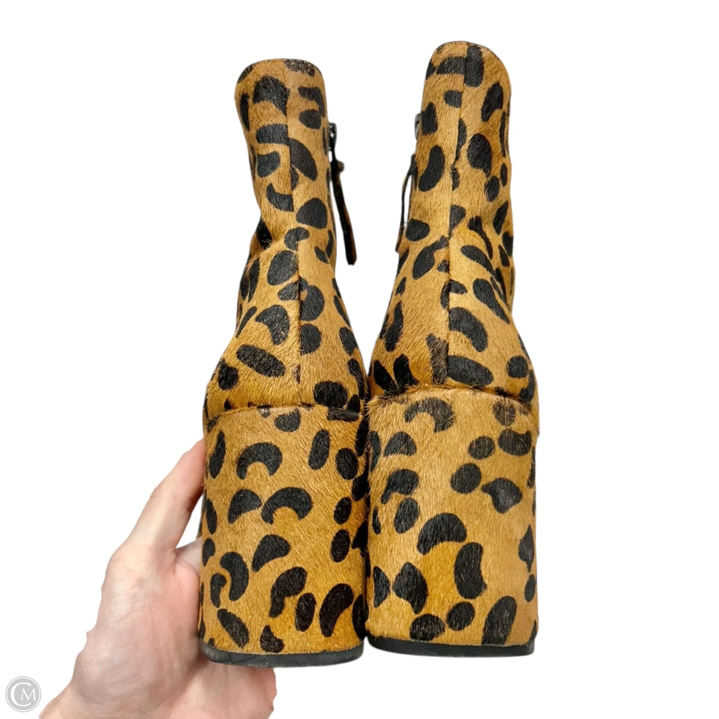 Boots Ankle Heels By Topshop In Leopard Print, Size: 6.5
