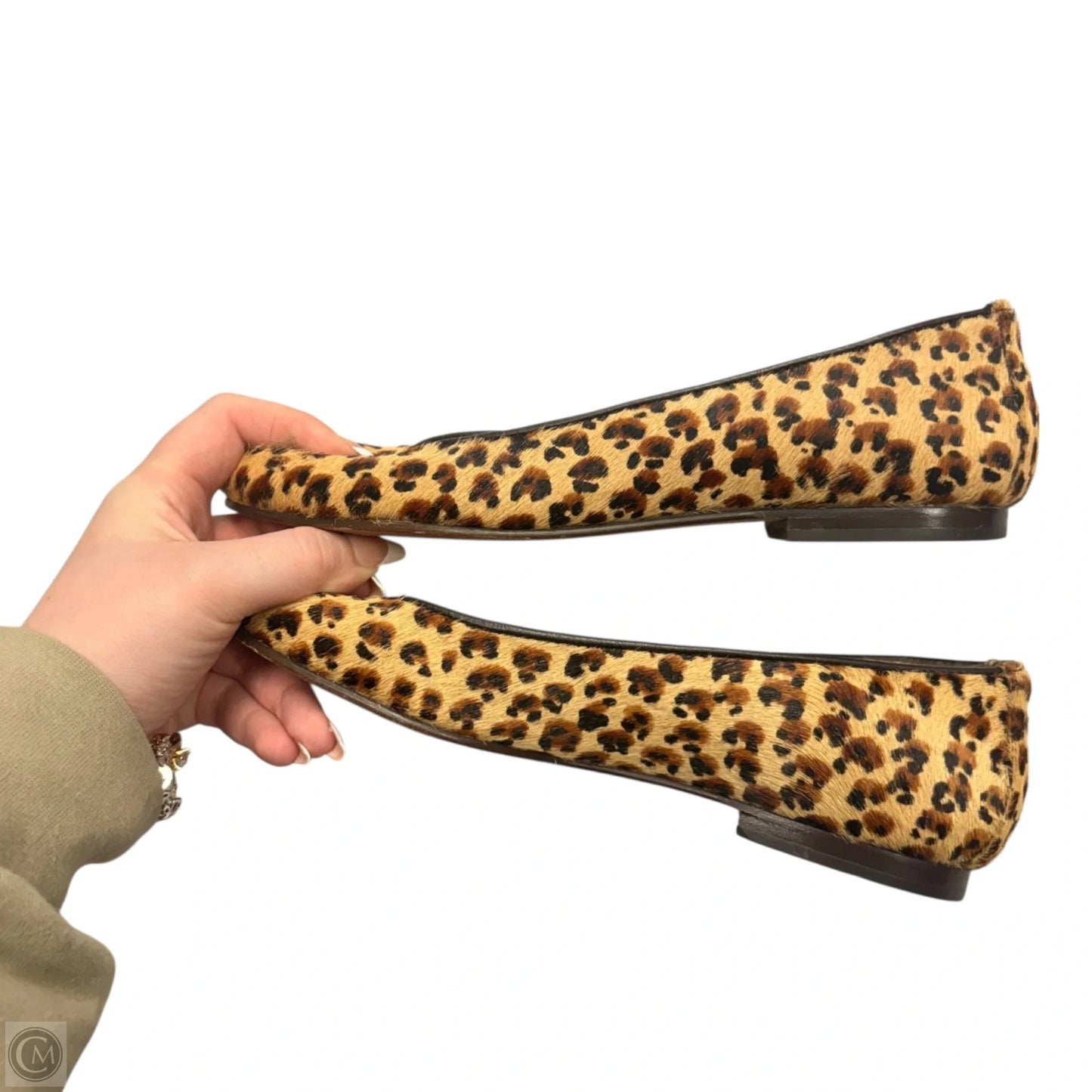 Shoes Flats By Cole-haan In Leopard Print, Size: 6