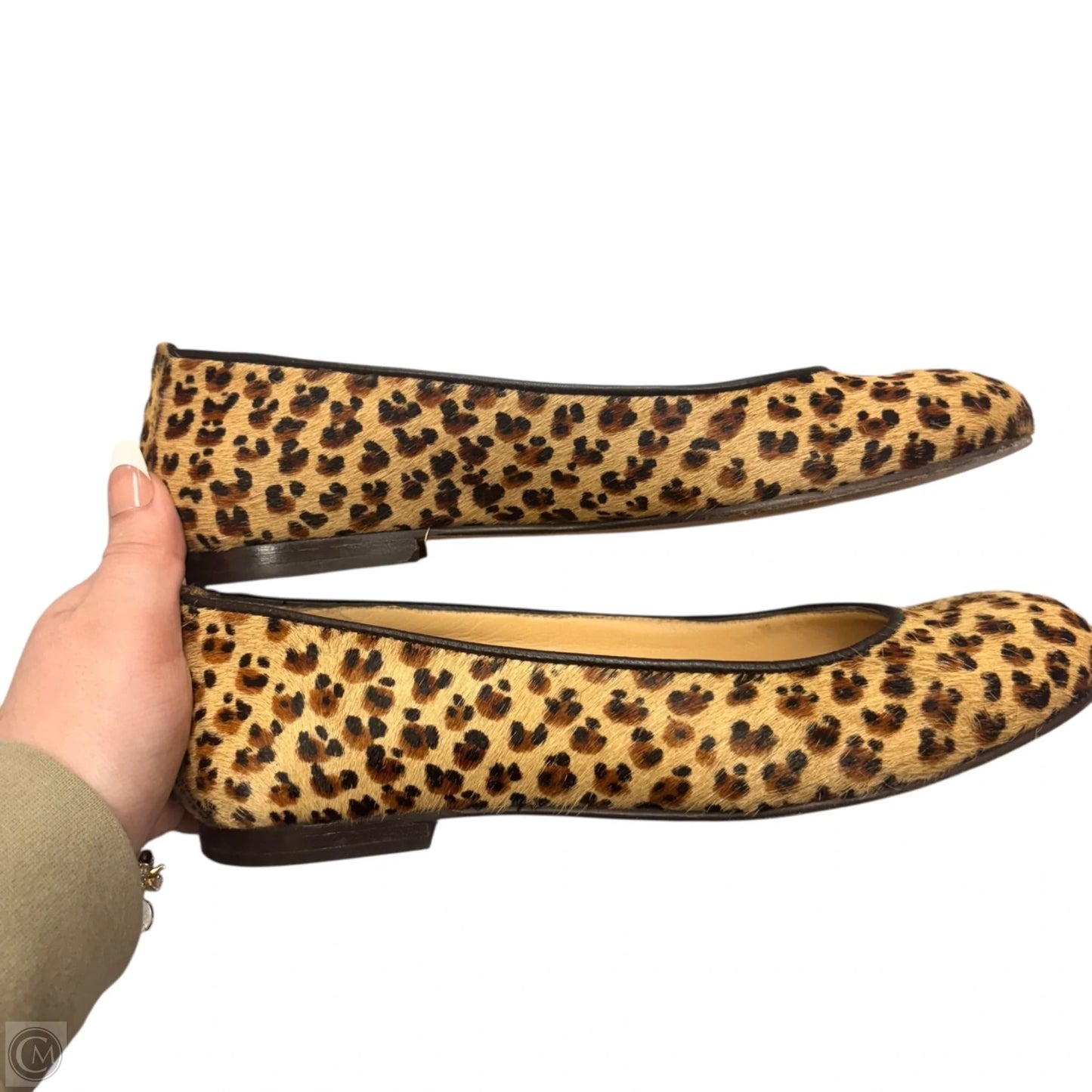 Shoes Flats By Cole-haan In Leopard Print, Size: 6