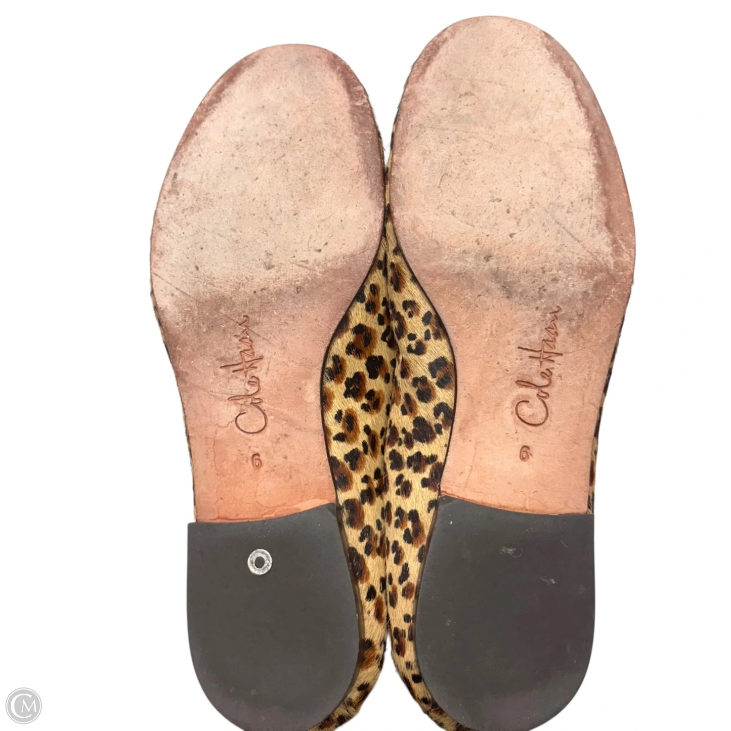 Shoes Flats By Cole-haan In Leopard Print, Size: 6