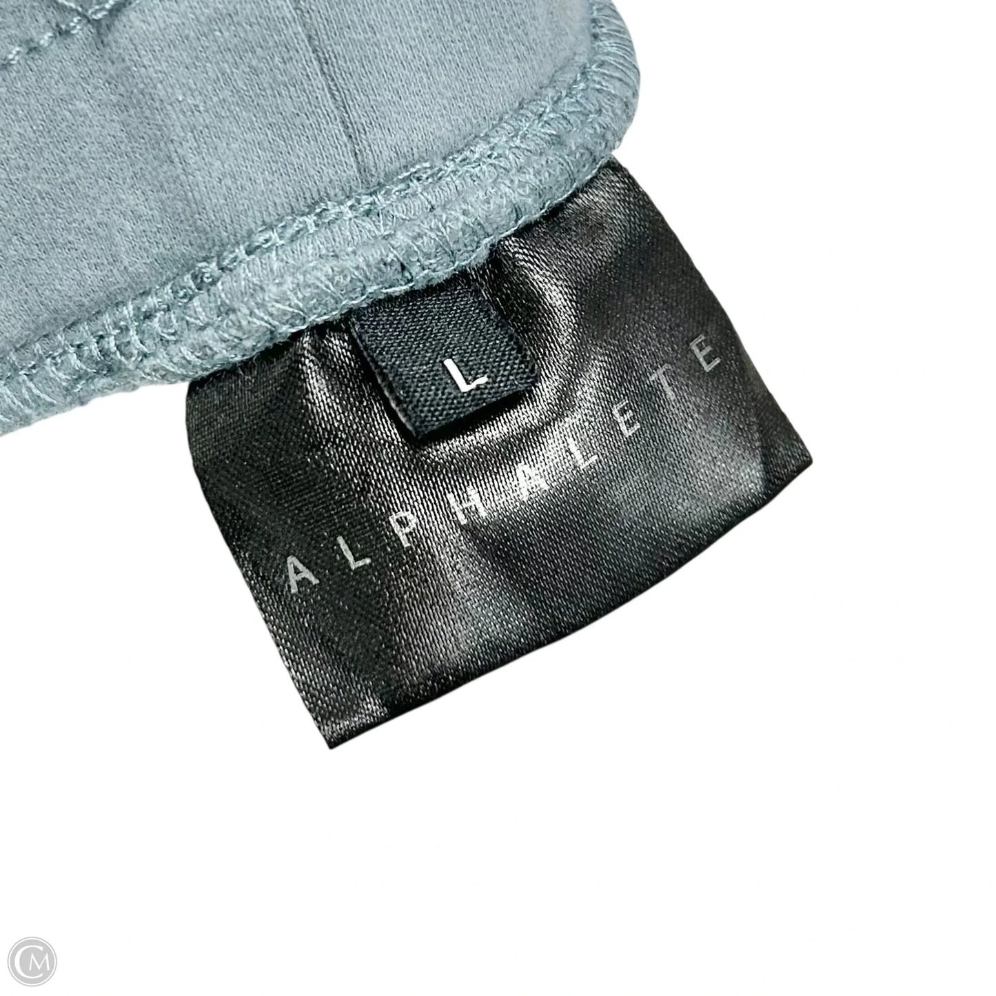 Athletic Pants By Alphalete In Blue, Size: L