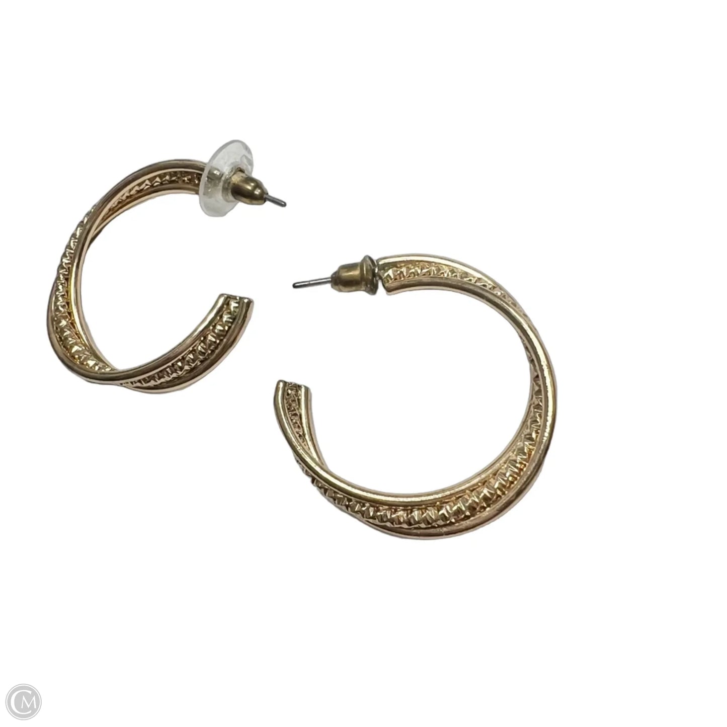 Earrings Hoop