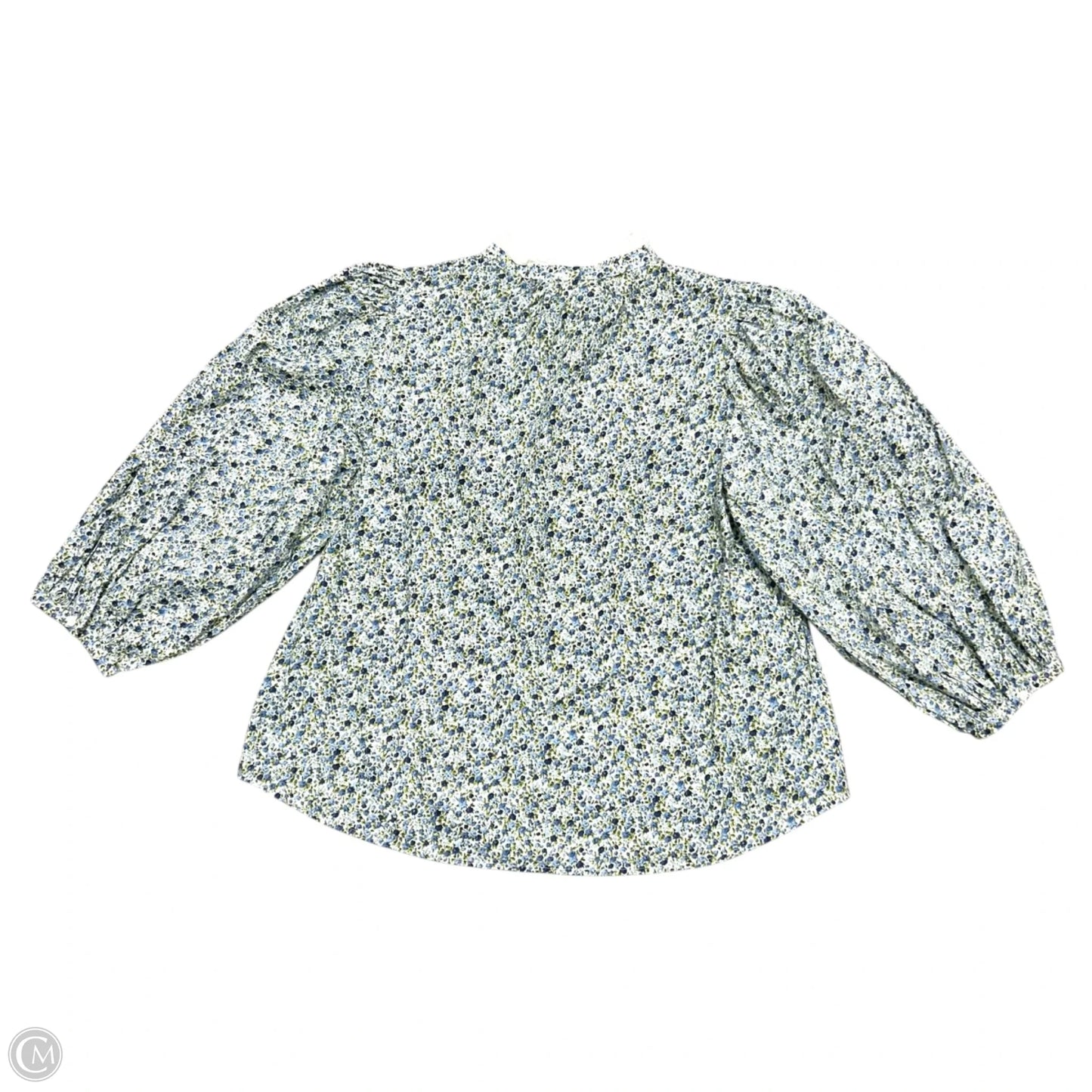 Top Long Sleeve By Hyacinth House In Blue & White, Size: L
