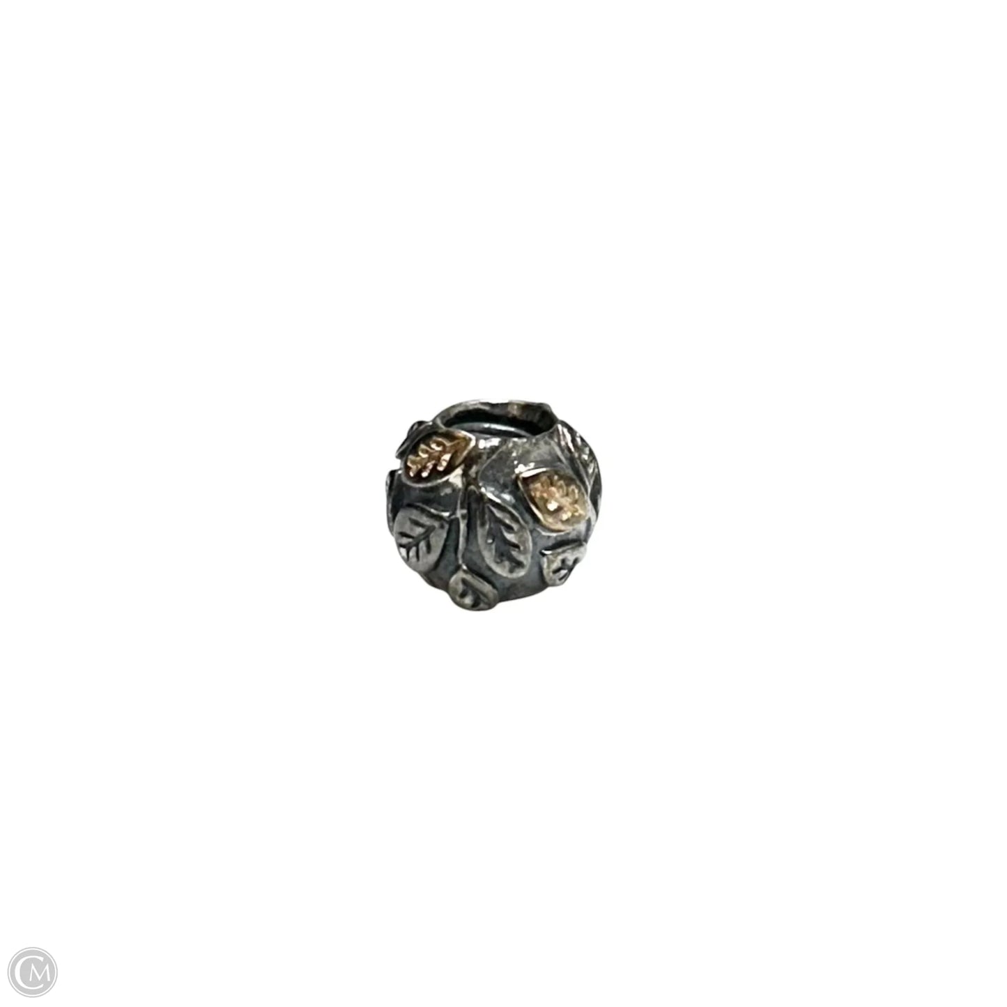 Jewelry Charm By Pandora
