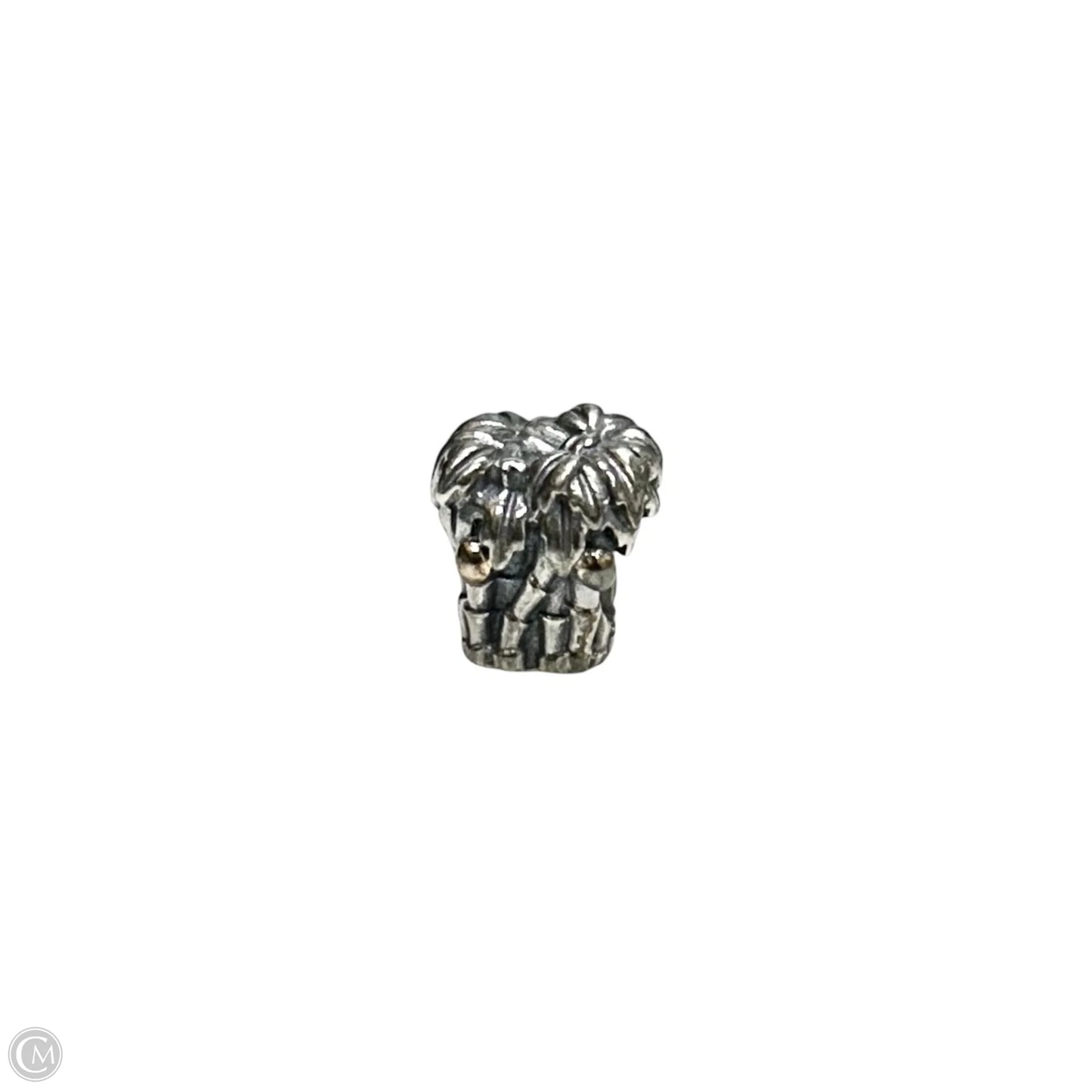 Jewelry Charm By Pandora
