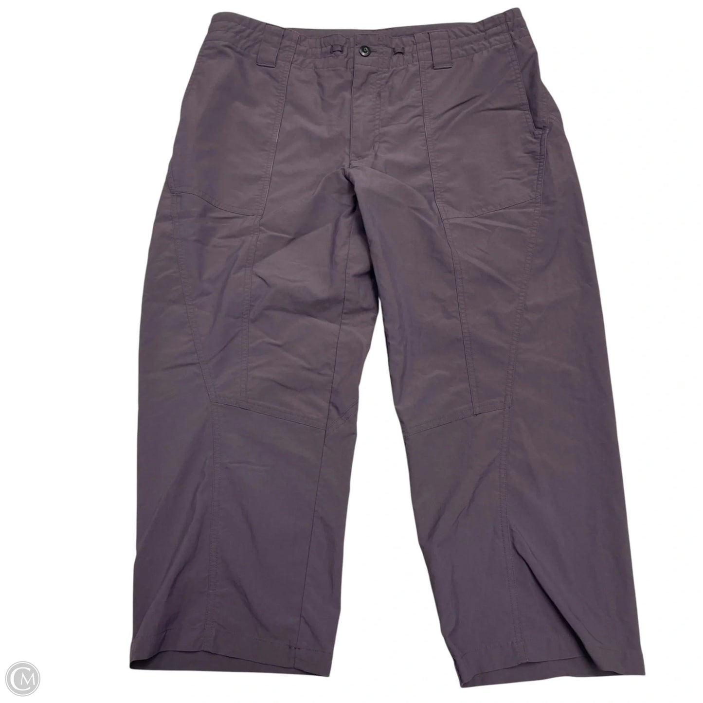 Athletic Pants By Patagonia In Purple, Size: L