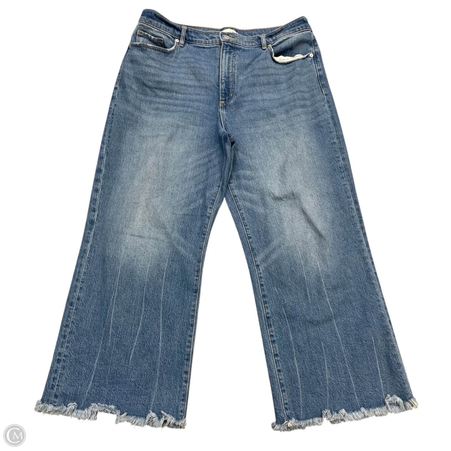 Jeans Wide Leg By Loft In Blue Denim, Size: 14