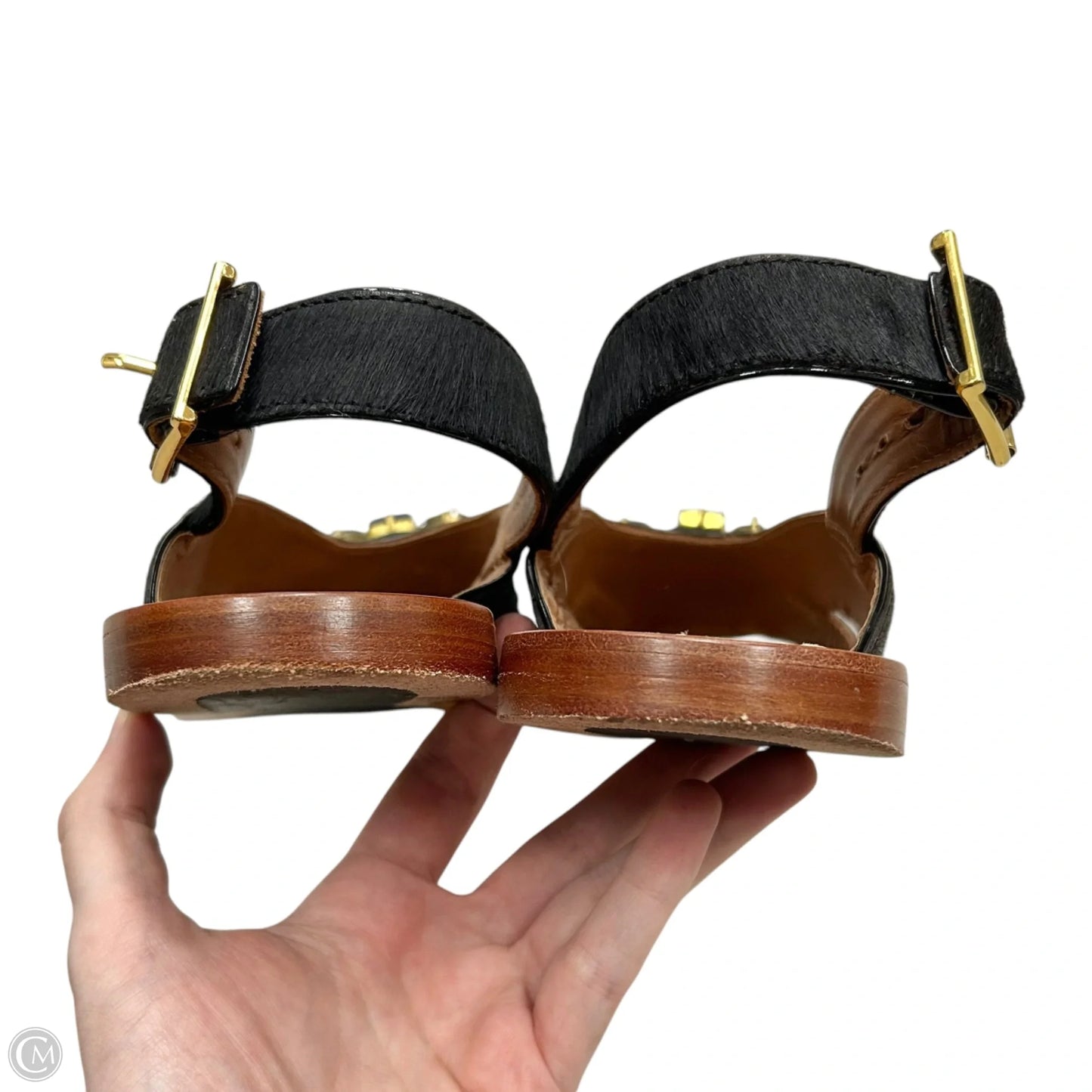 Sandals Designer By Marni In Black, Size: 6