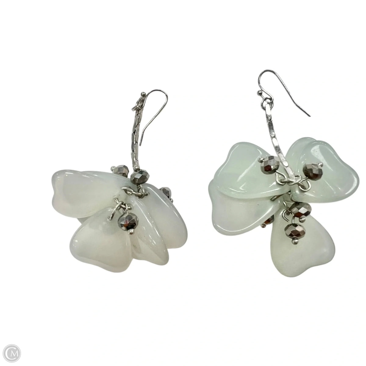Earrings Dangle/drop