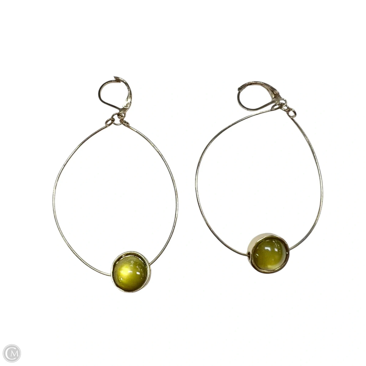 Earrings Dangle/drop