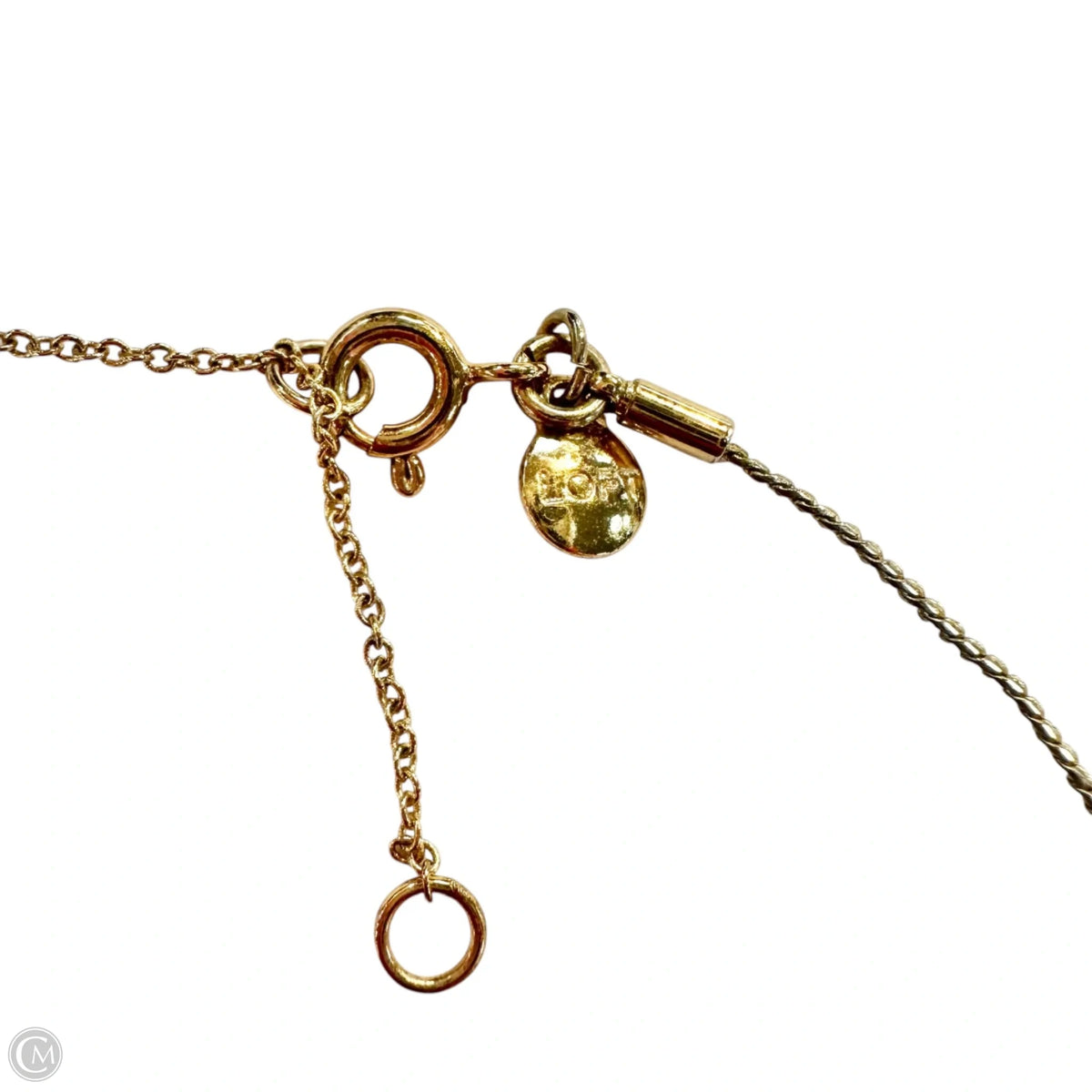 Necklace Chain By Loft