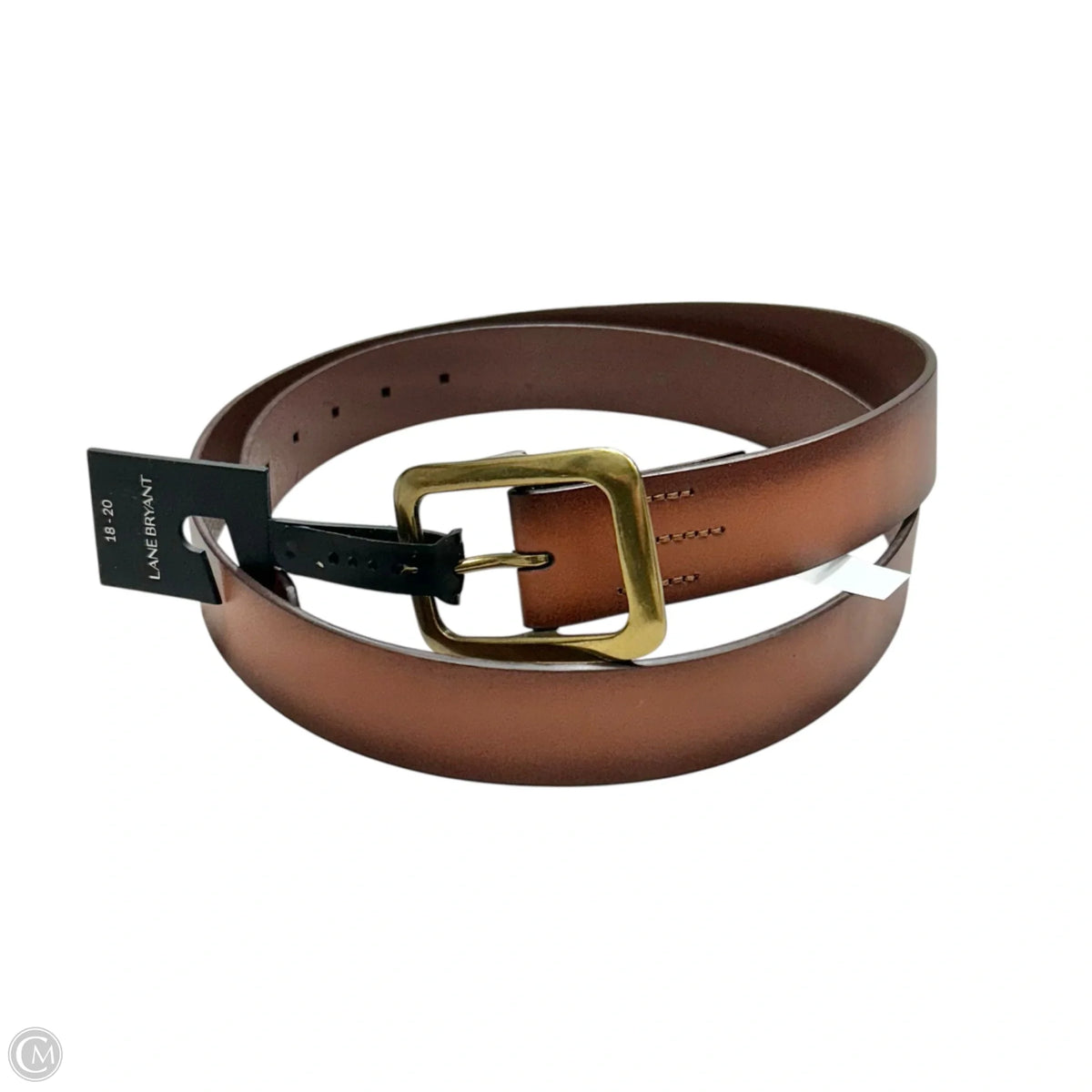 Belt Leather By Lane Bryant, Size: Xlarge