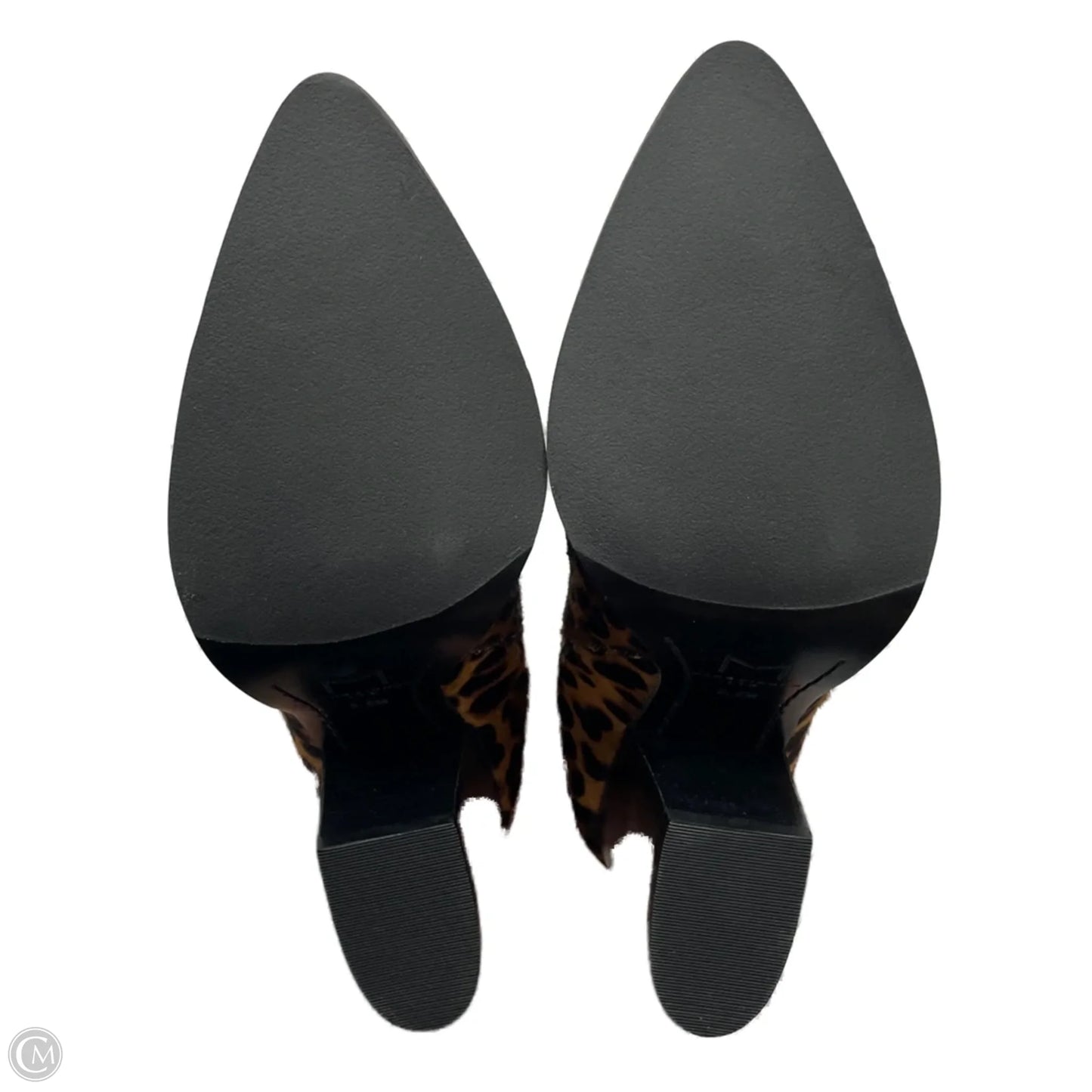 Boots Ankle Heels By Marc Fisher In Leopard Print, Size: 5.5