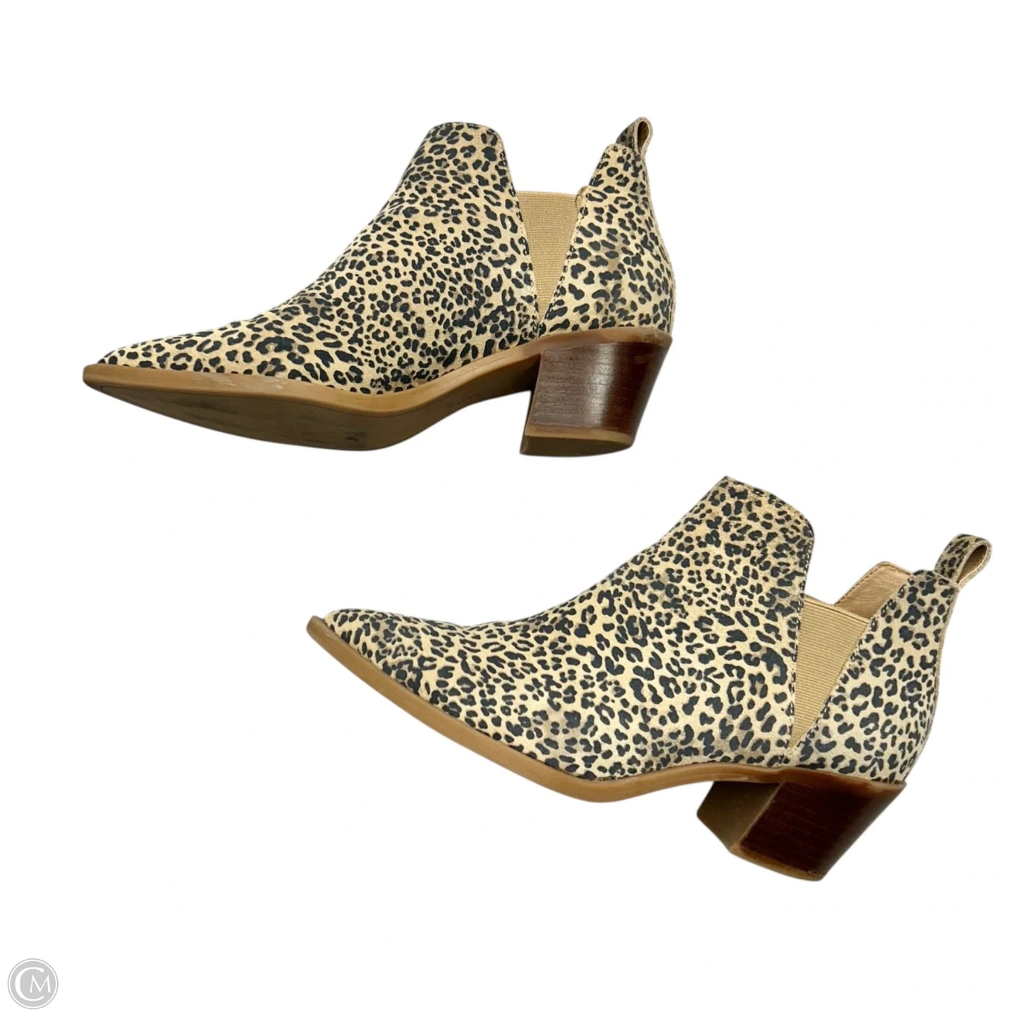 Boots Ankle Heels By Dolce Vita In Leopard Print, Size: 7