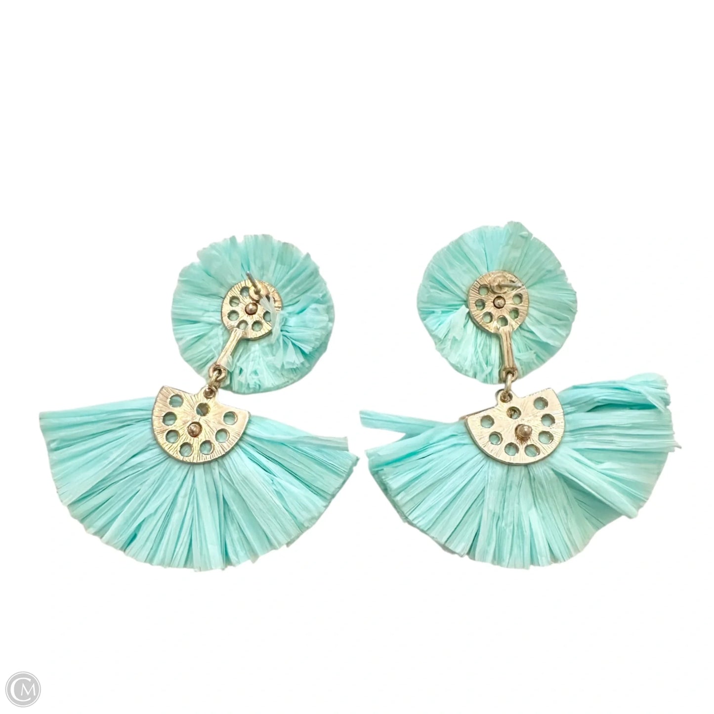 Earrings Dangle/drop