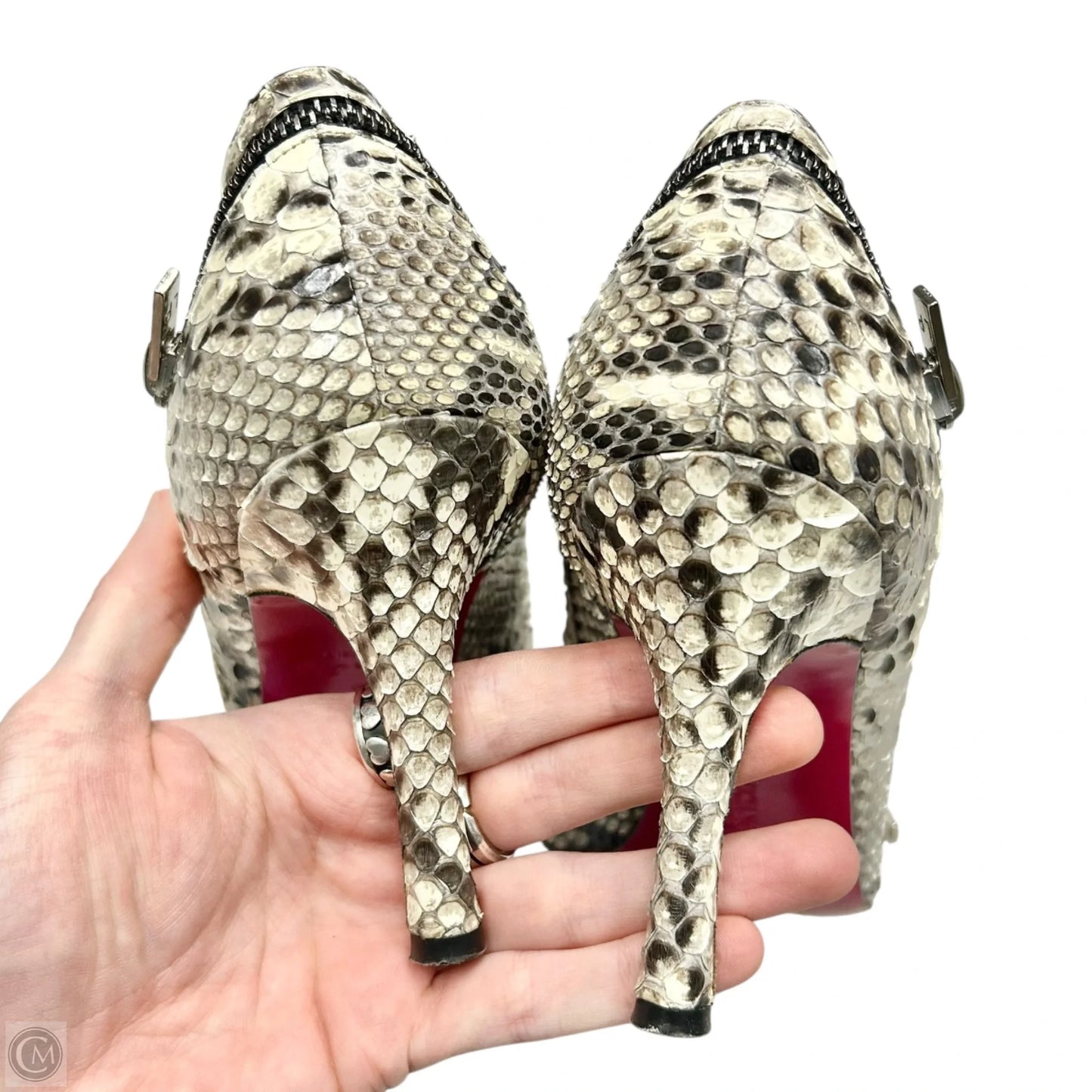 Shoes Heels Stiletto By Luciano Padovan In Snakeskin Print, Size: 7.5