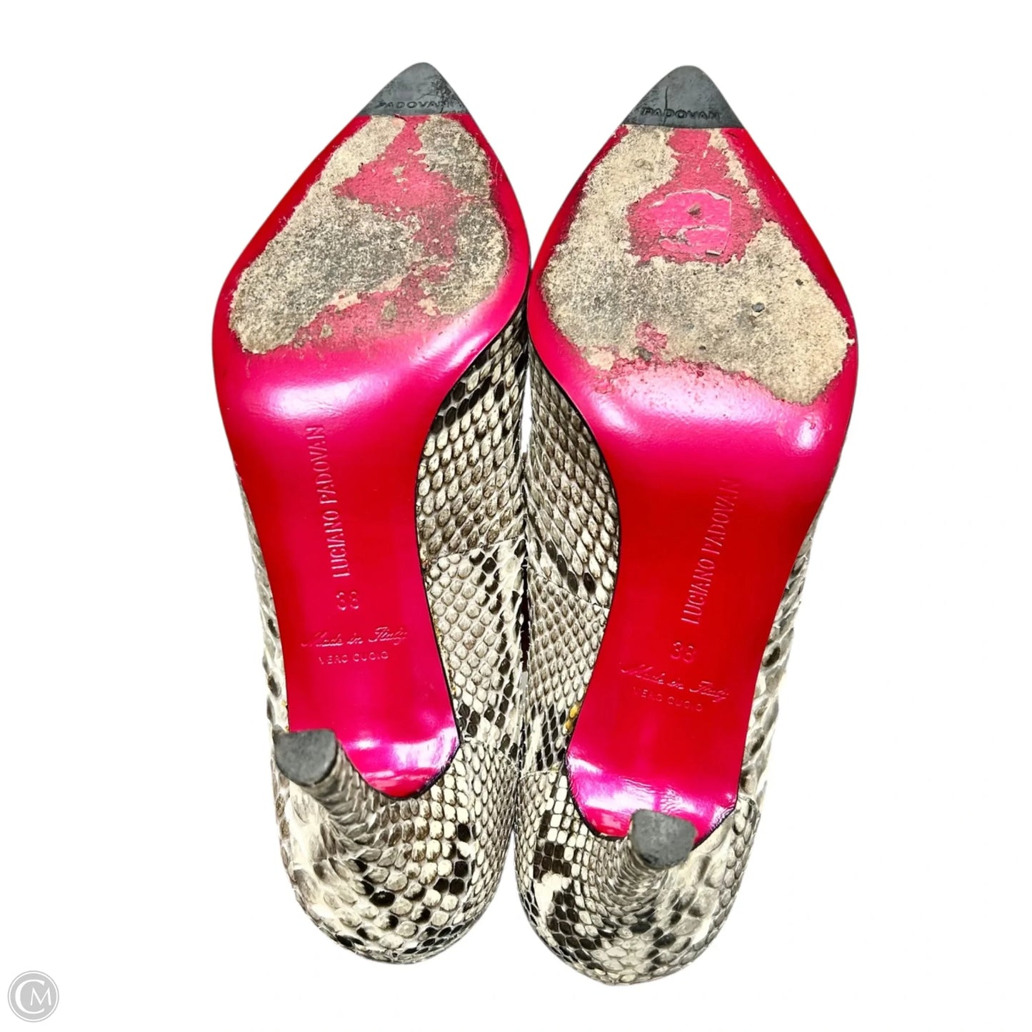 Shoes Heels Stiletto By Luciano Padovan In Snakeskin Print, Size: 7.5