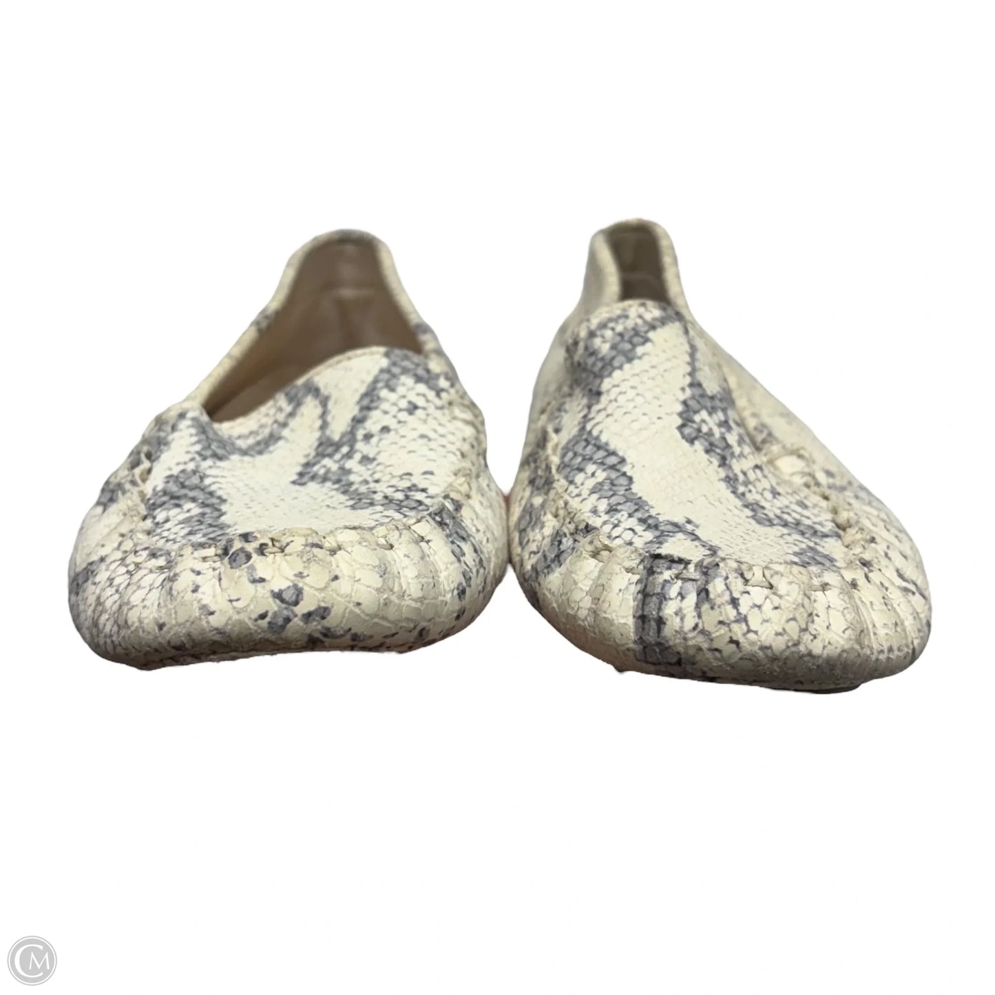 Shoes Flats By Cole-haan In Snakeskin Print, Size: 6