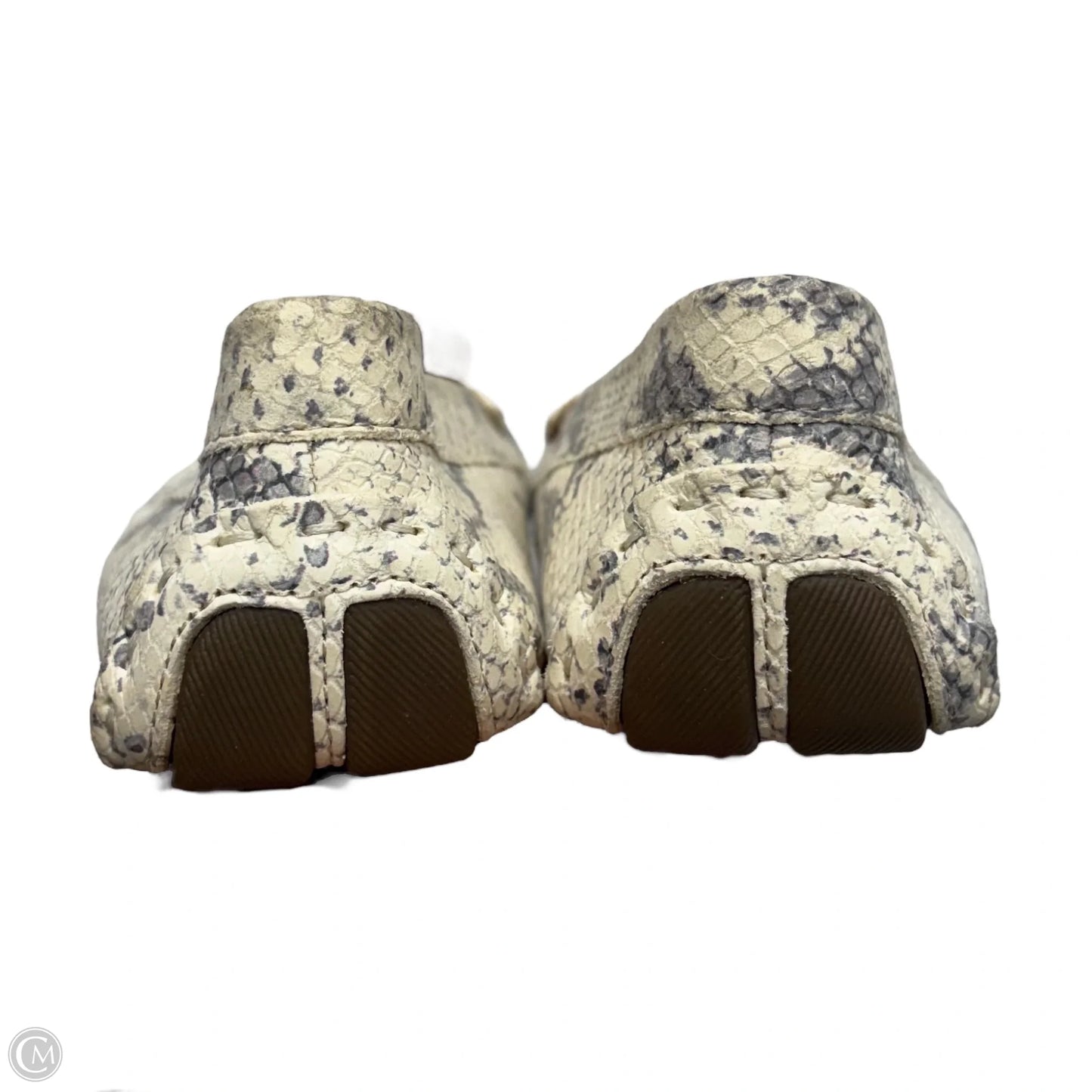 Shoes Flats By Cole-haan In Snakeskin Print, Size: 6