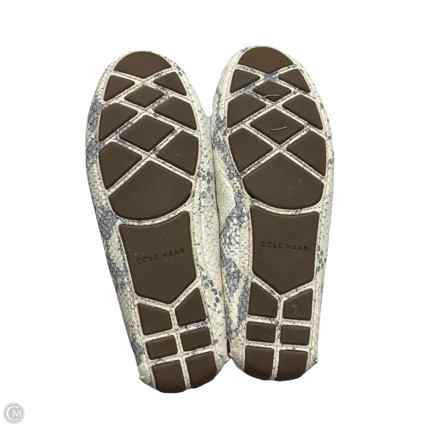 Shoes Flats By Cole-haan In Snakeskin Print, Size: 6