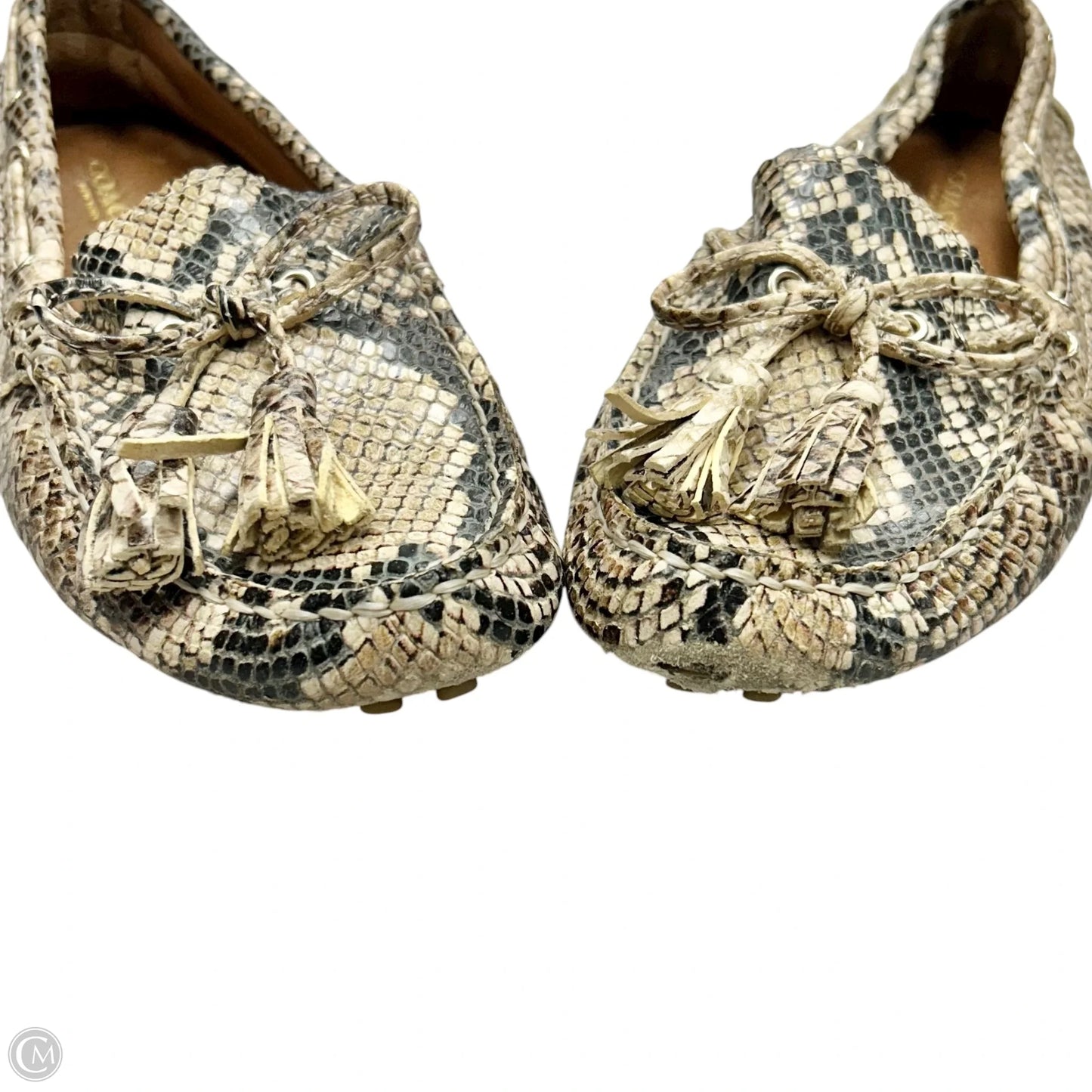 Shoes Designer By Coach In Snakeskin Print, Size: 5