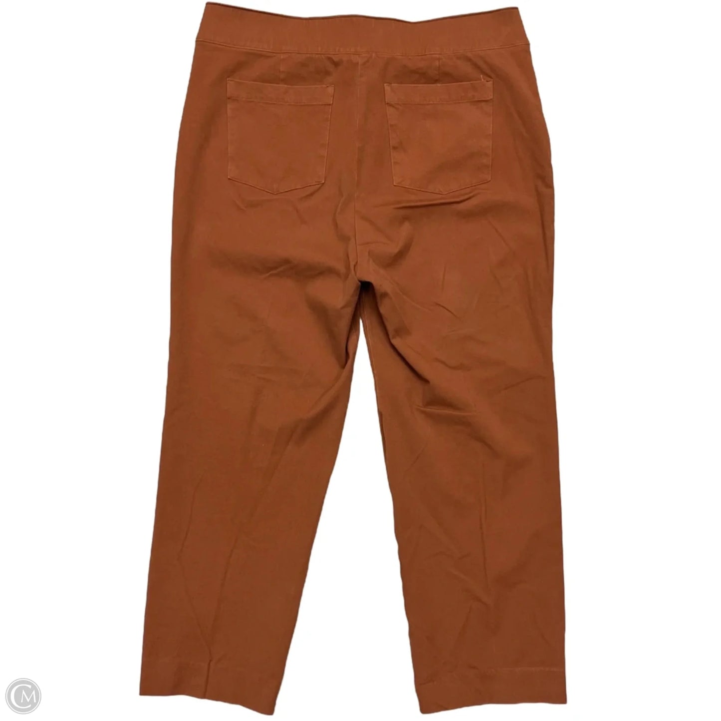 Pants Cropped By Spanx In Orange, Size: 2x