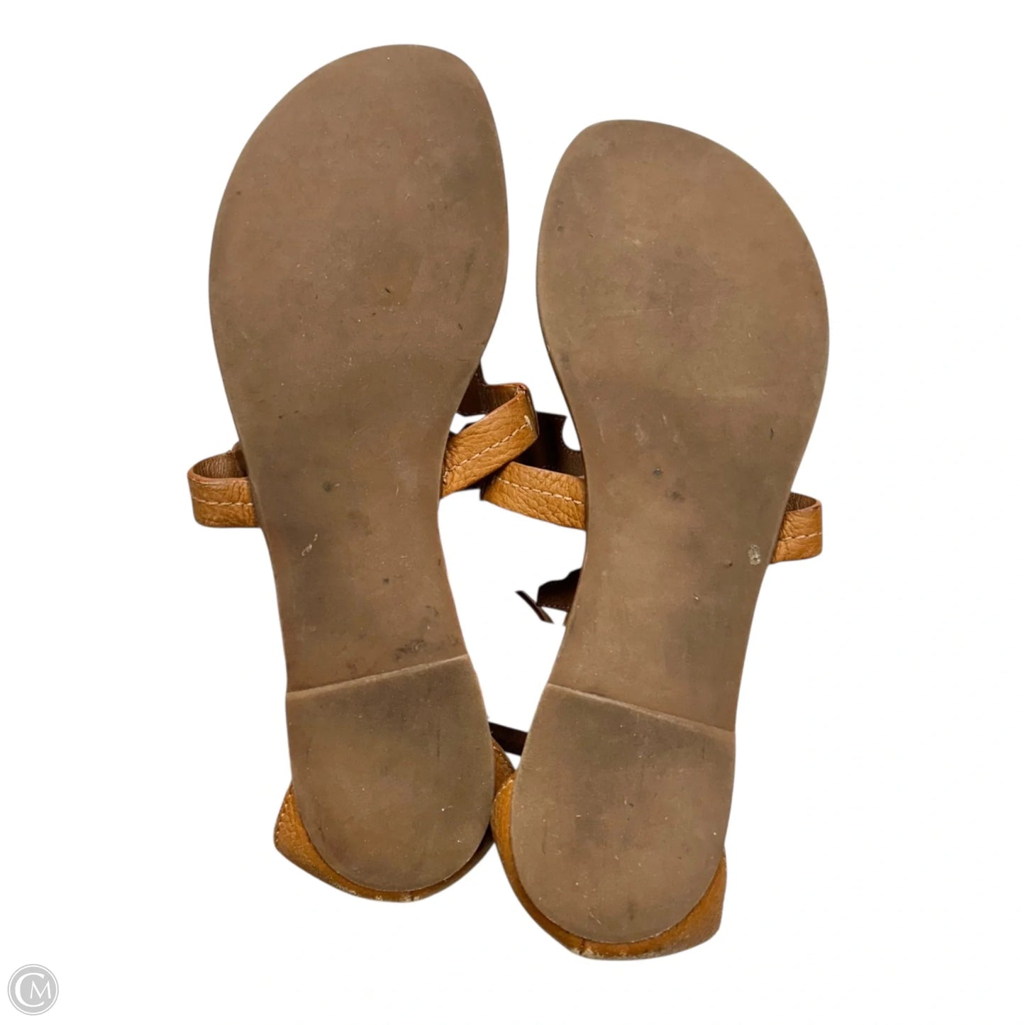 Sandals Designer By Tory Burch In Tan, Size: 9.5