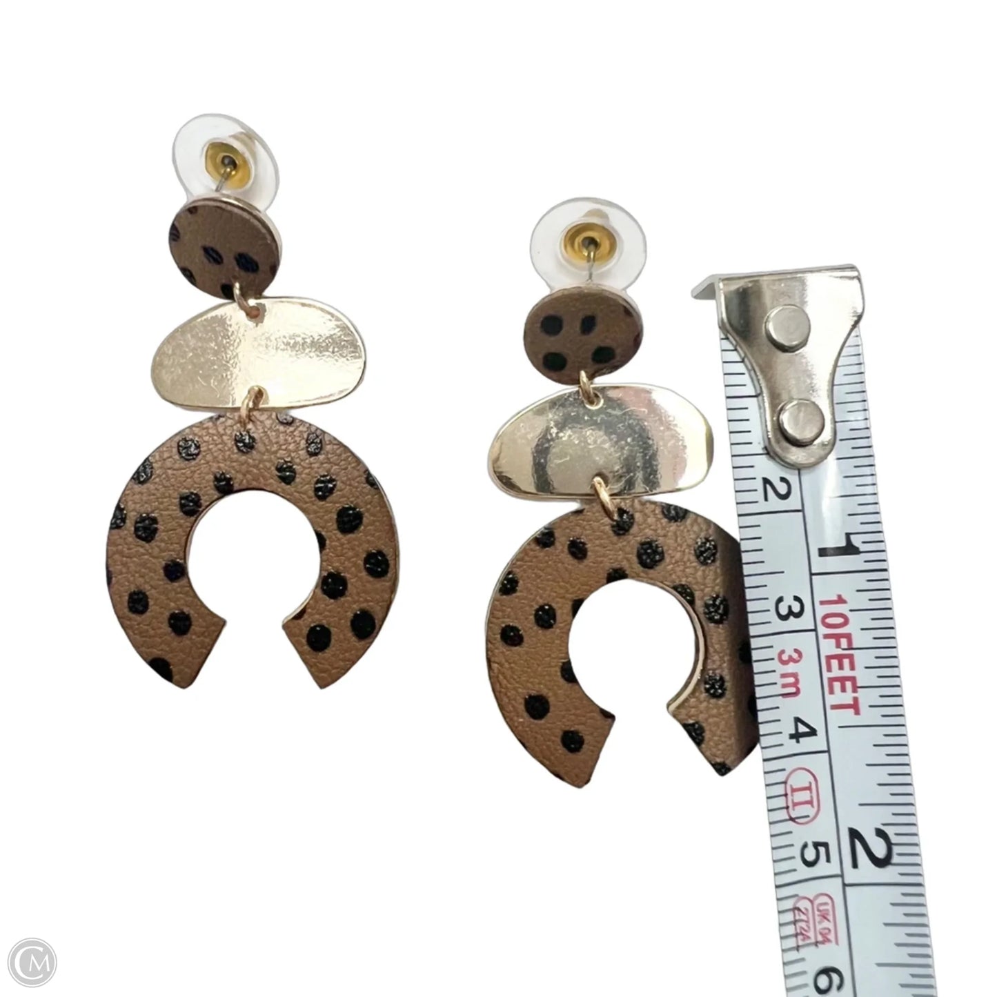 Earrings Dangle/drop