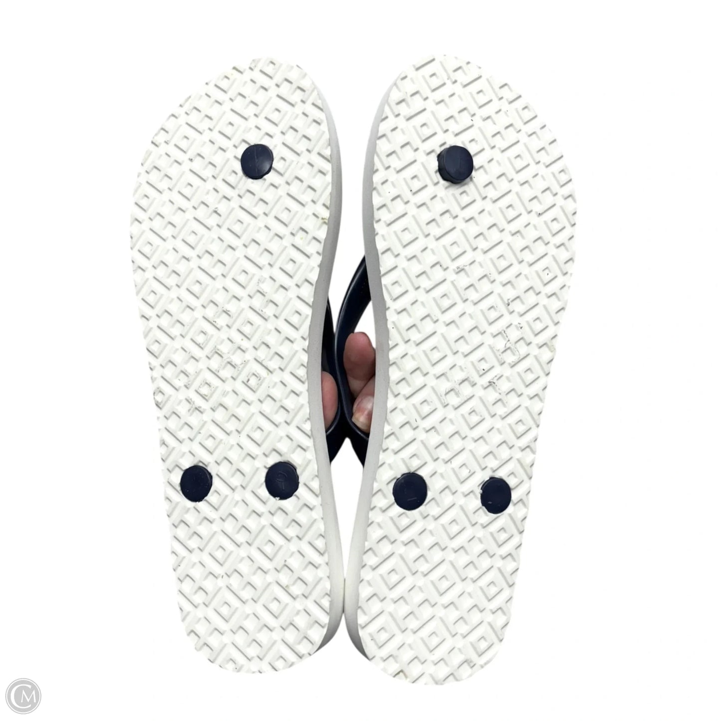 Sandals Designer By Tory Burch In Blue, Size: 7.5