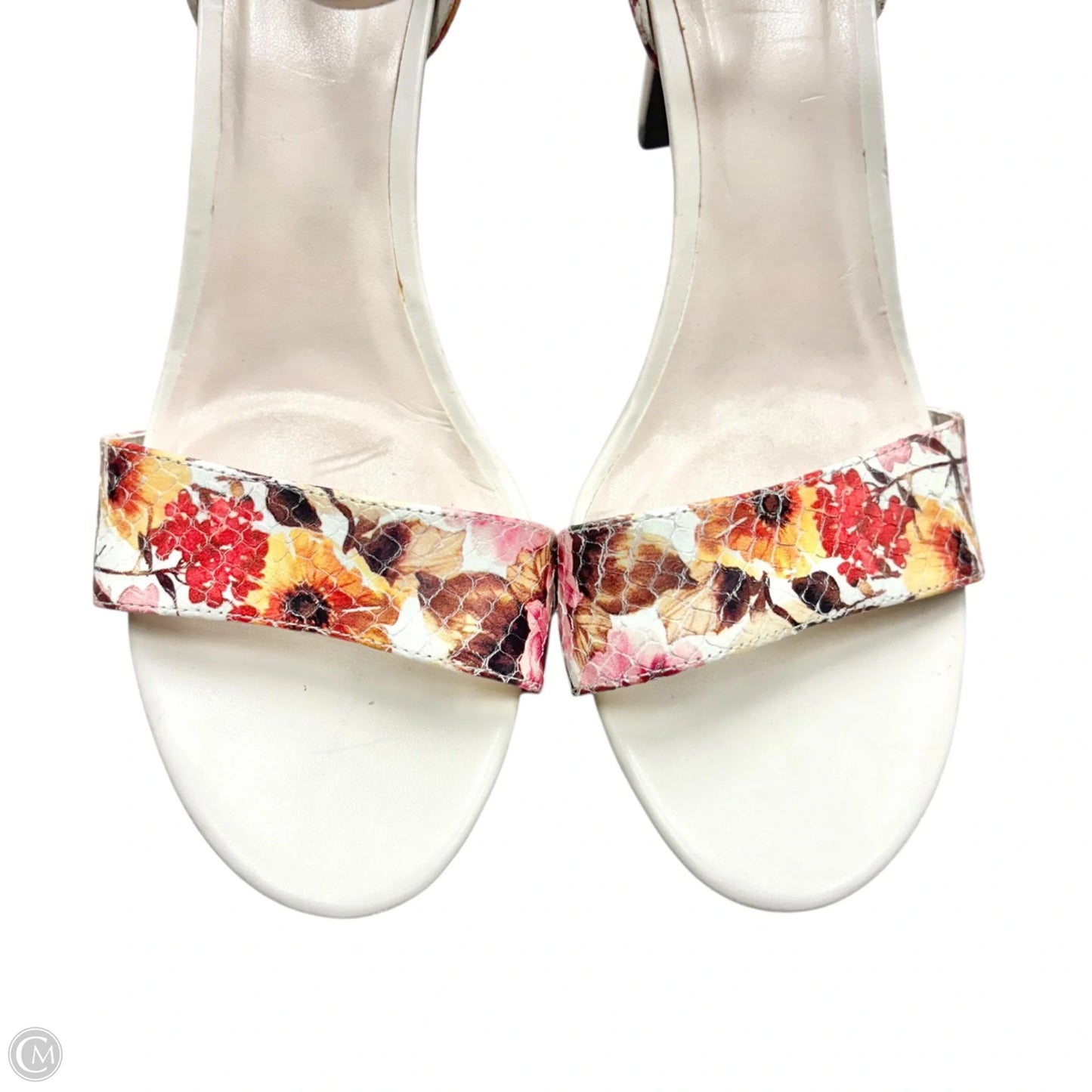 Sandals Heels Stiletto By Cole-haan In Floral Print, Size: 6