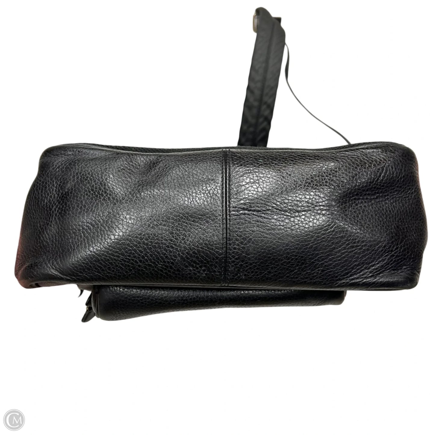Backpack Designer By Coach, Size: Medium