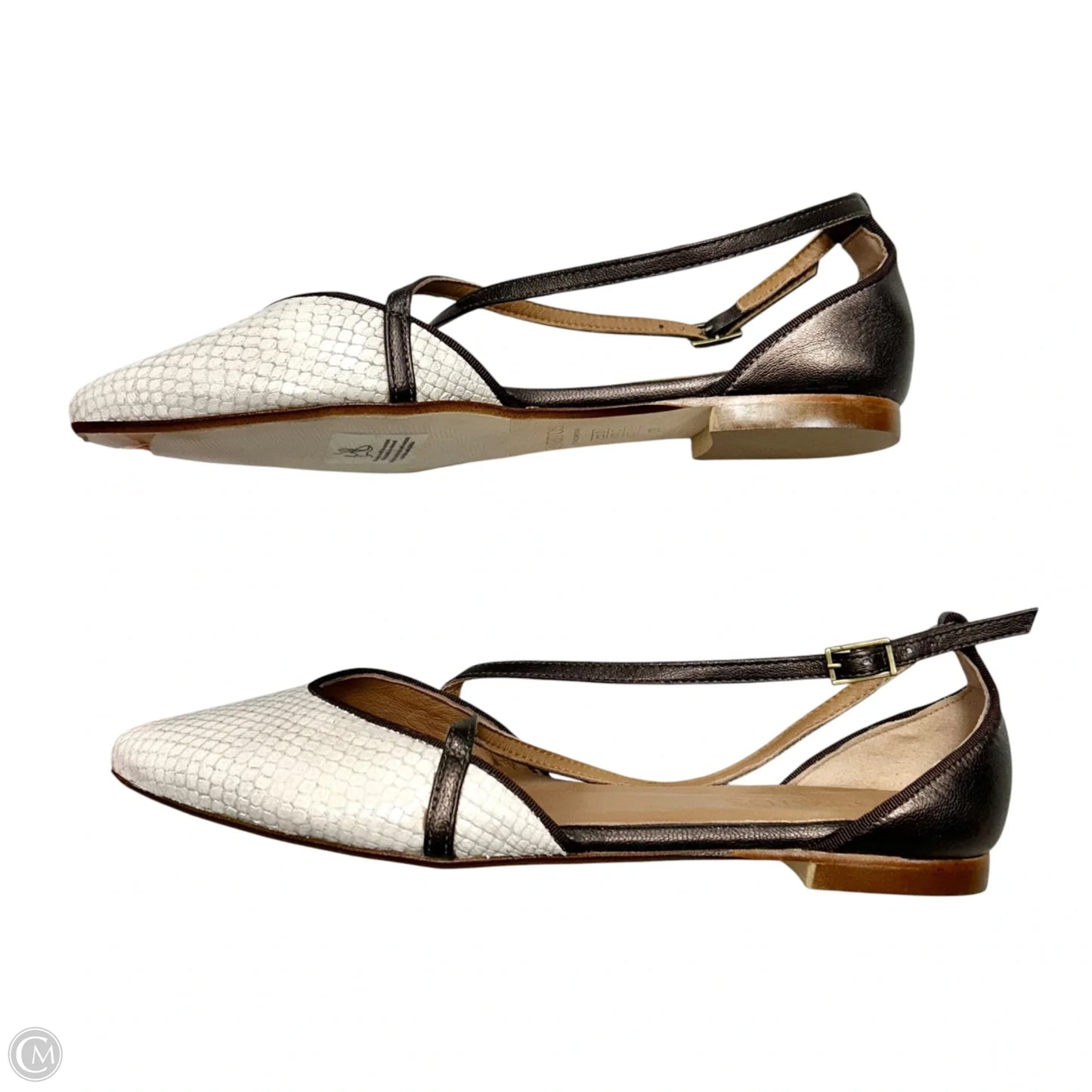Shoes Flats By Ganzitos In Snakeskin Print, Size: 8.5