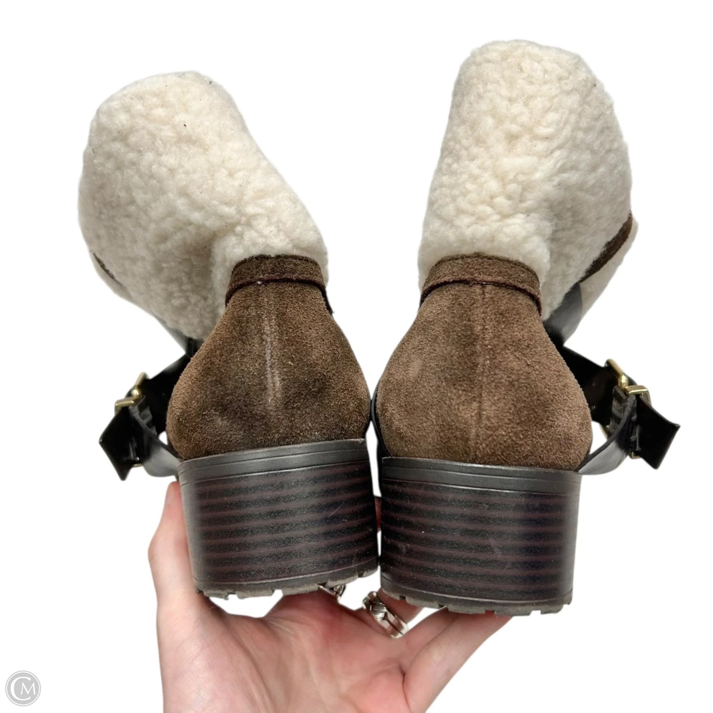 Boots Ankle Heels By Charles By Charles David In Brown, Size: 11