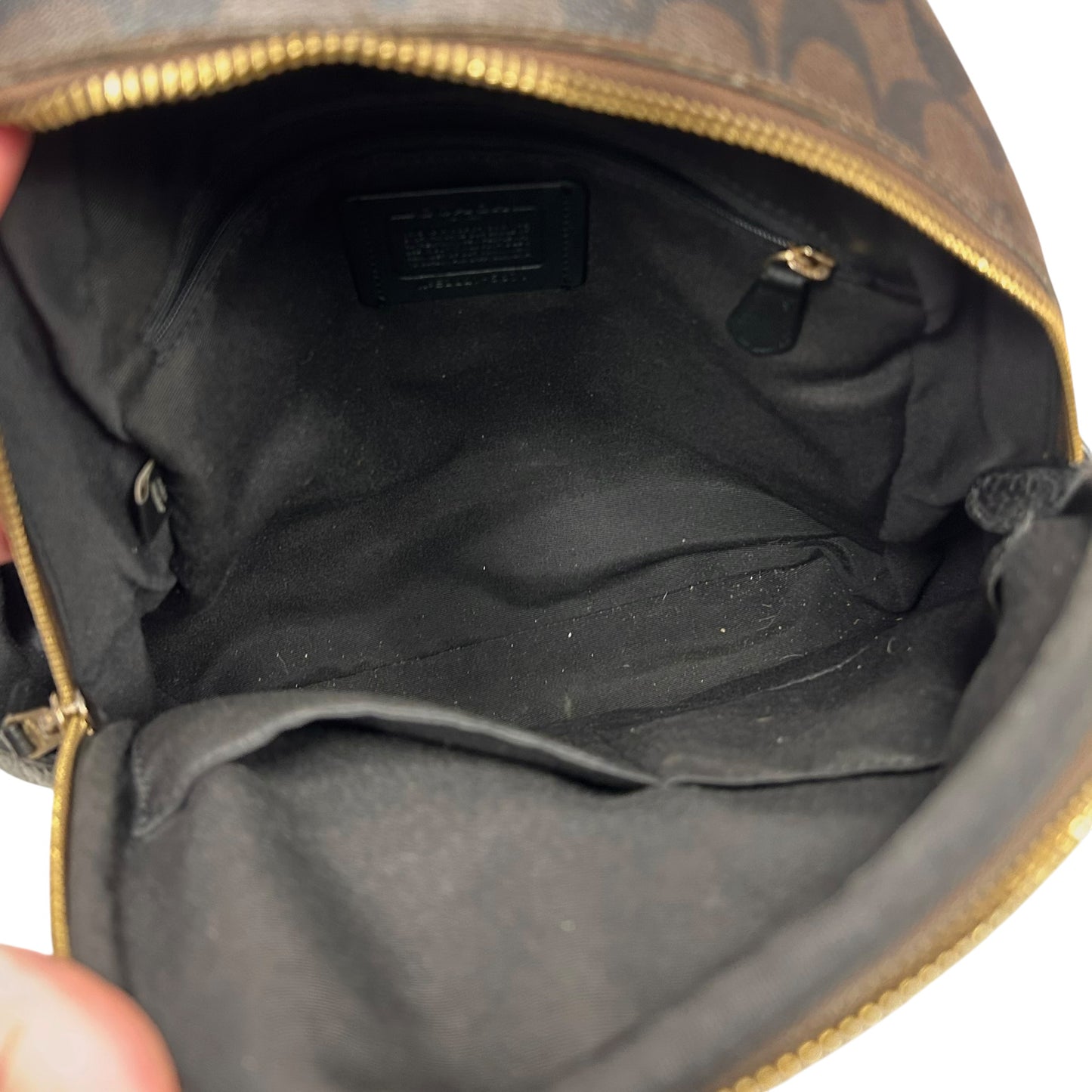 Backpack Designer By Coach, Size: Medium